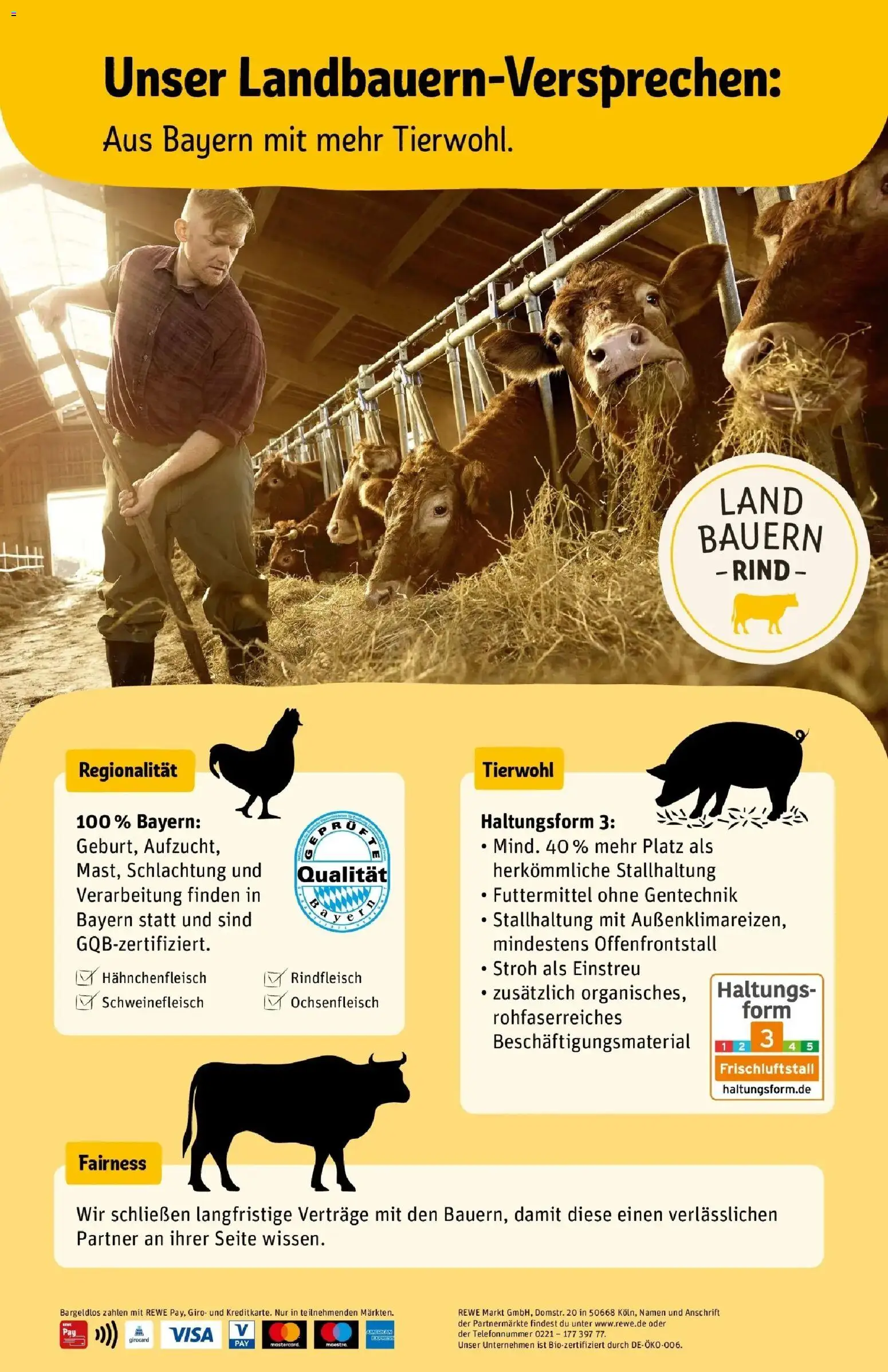 REWE Prospekt ab 26.10.2026 zum Blättern » Angebote | Seite: 2 | Produkte: Schweinefleisch, Rindfleisch
