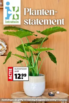 Intratuin folder - Voorbeeld van een folder van Intratuin, geldig van 31-08-2026