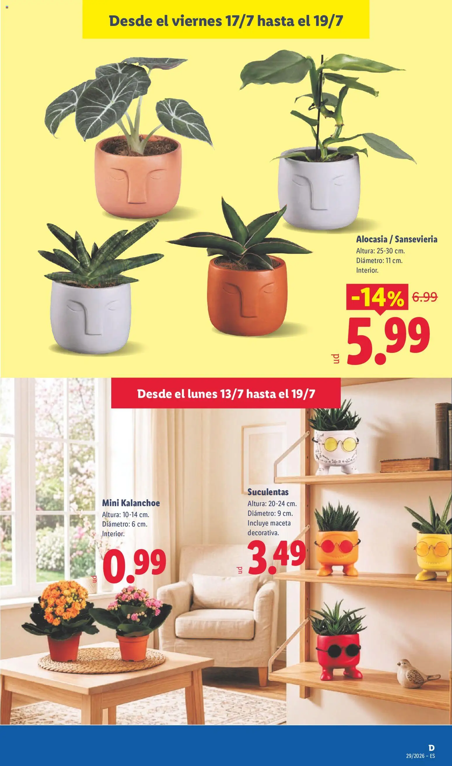 Lidl folleto │ válido desde el 13/07/2026 | Página: 59