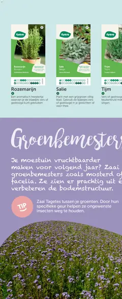 Aveve Groente- en kruidengids - Voorbeeld van een folder van Aveve, geldig van 23.02.2026 | Pagina: 48 | Producten: Gyors rizs, Geur