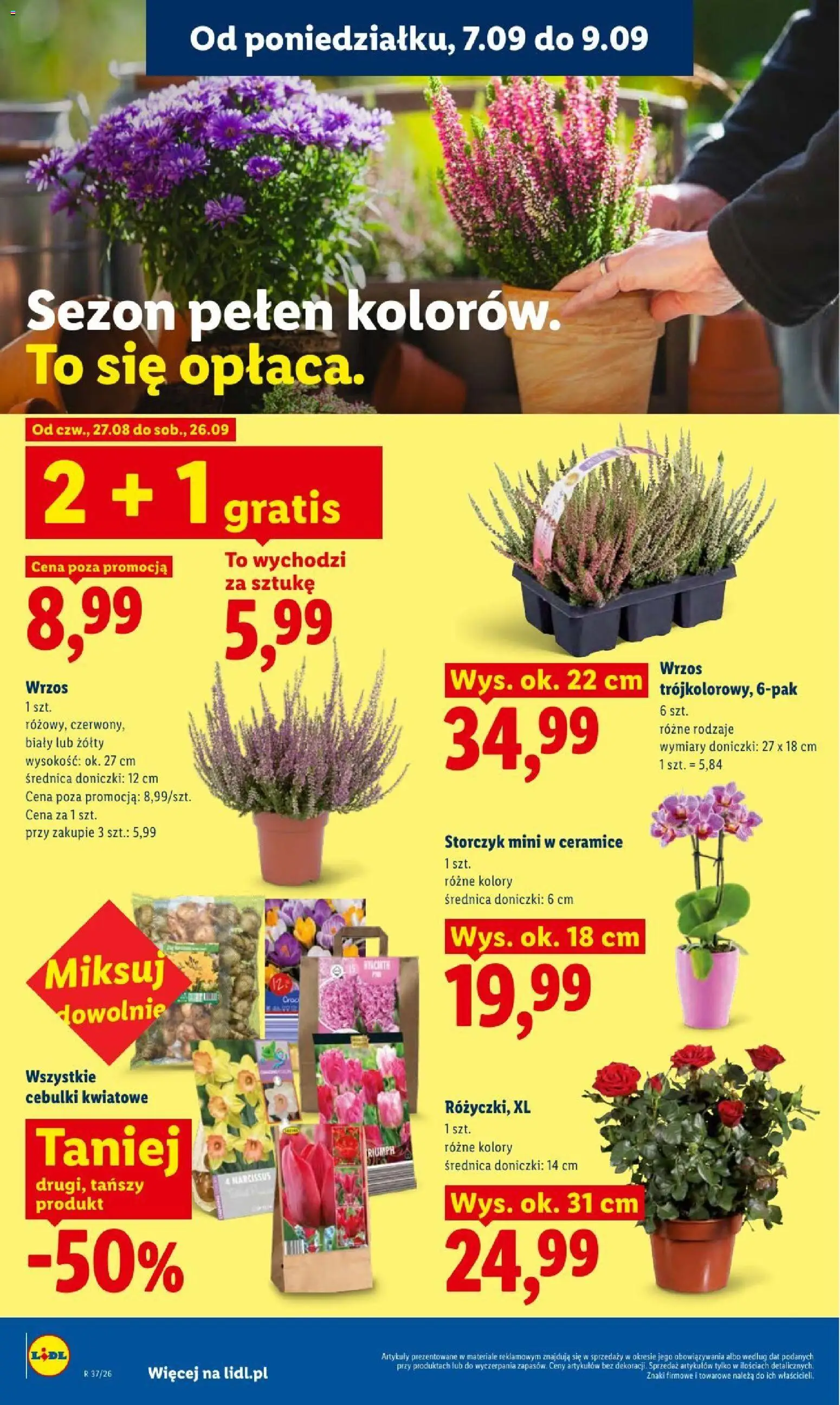 Lidl gazetka od 07.09.2026 | Strona: 82