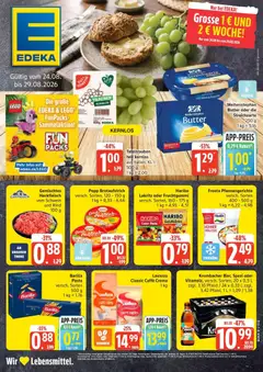 Edeka Prospekt Norderstedt ab 24.08.2026 gültig