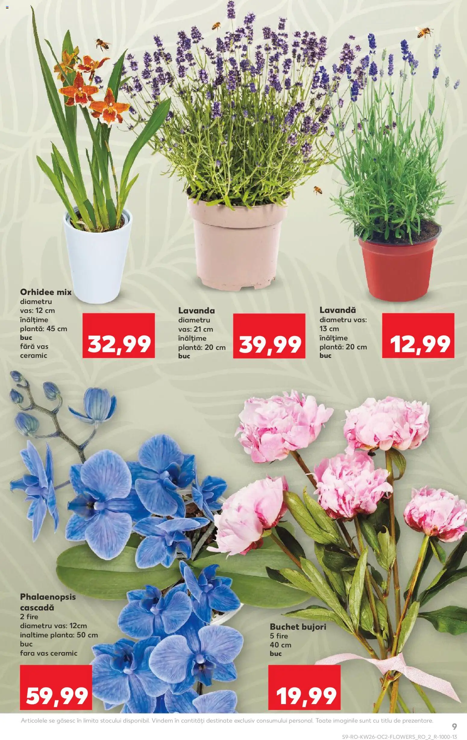 Noul catalog Kaufland – valabil de la 24.06.2026 | Pagină: 9