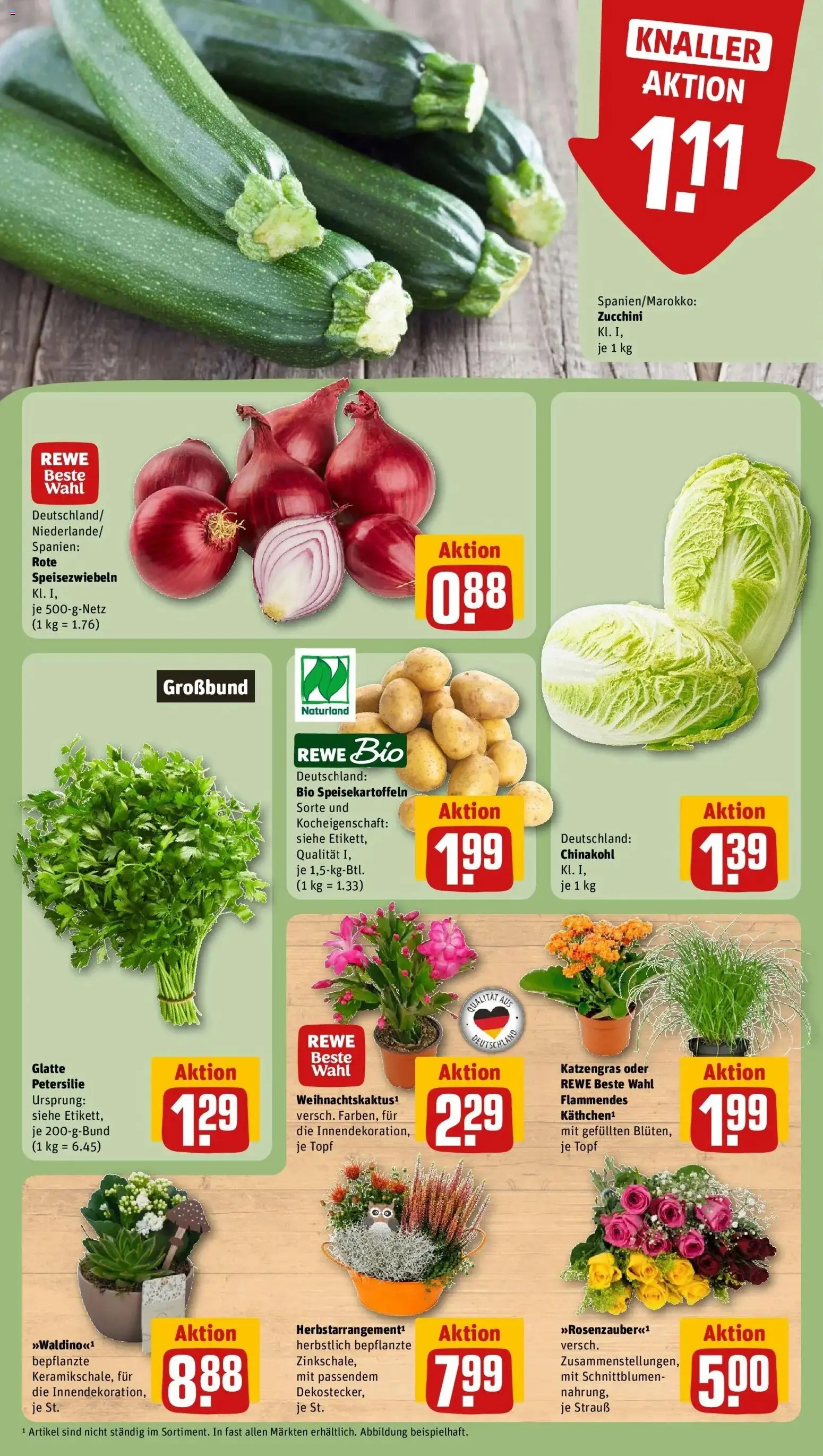REWE Prospekt ab 26.10.2026 zum Blättern » Angebote | Seite: 7 | Produkte: Chinakohl, Petersilie, Zucchini