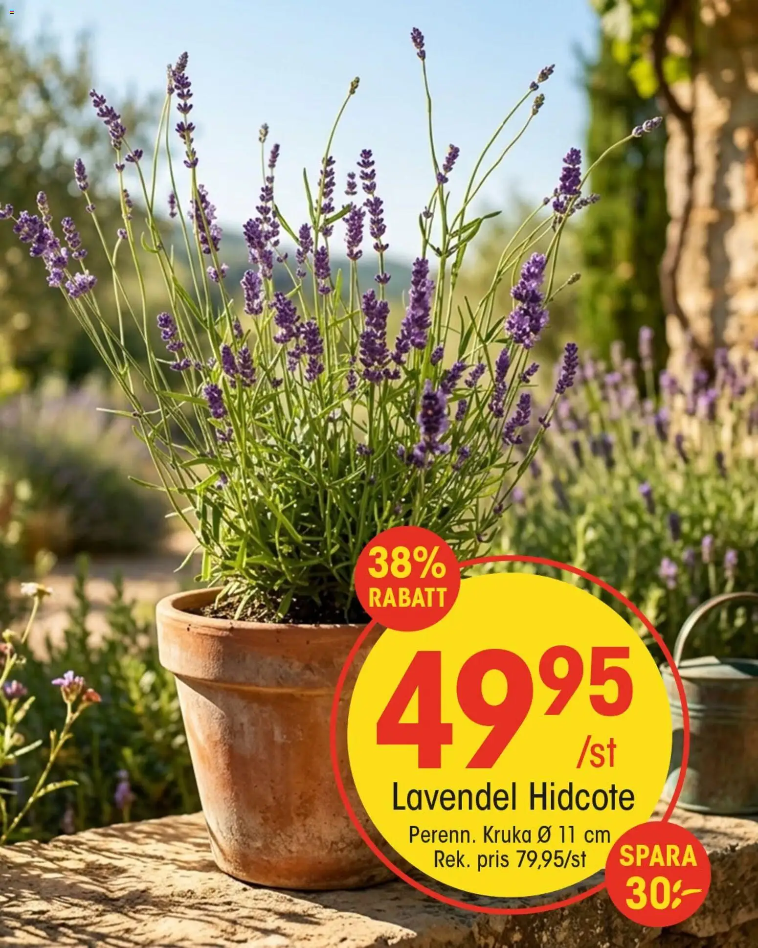 EKO reklamblad aktuell från 19/07/2026 | Sida: 4 | Produkter: Lavendel, Kruka