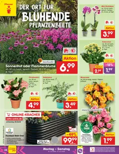 Netto Marken-Discount Prospekt ab 22.06.2026 gültig | Seite: 34 | Produkte: Hochbeet