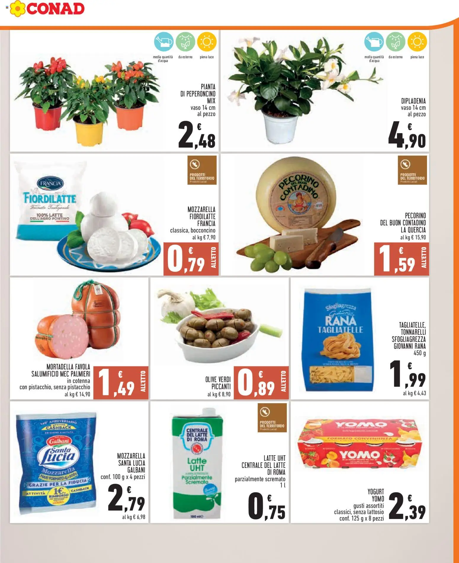 Volantino Conad del 24/06/2026 | Pagina: 3