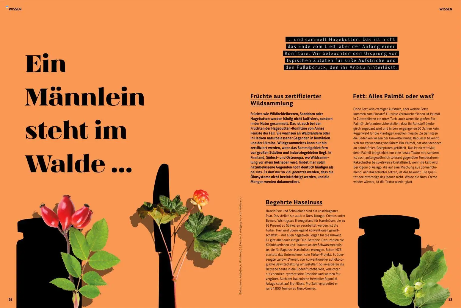 Denns BioMarkt KREO Magazin gültig ab 22.07.2026 | Seite: 27