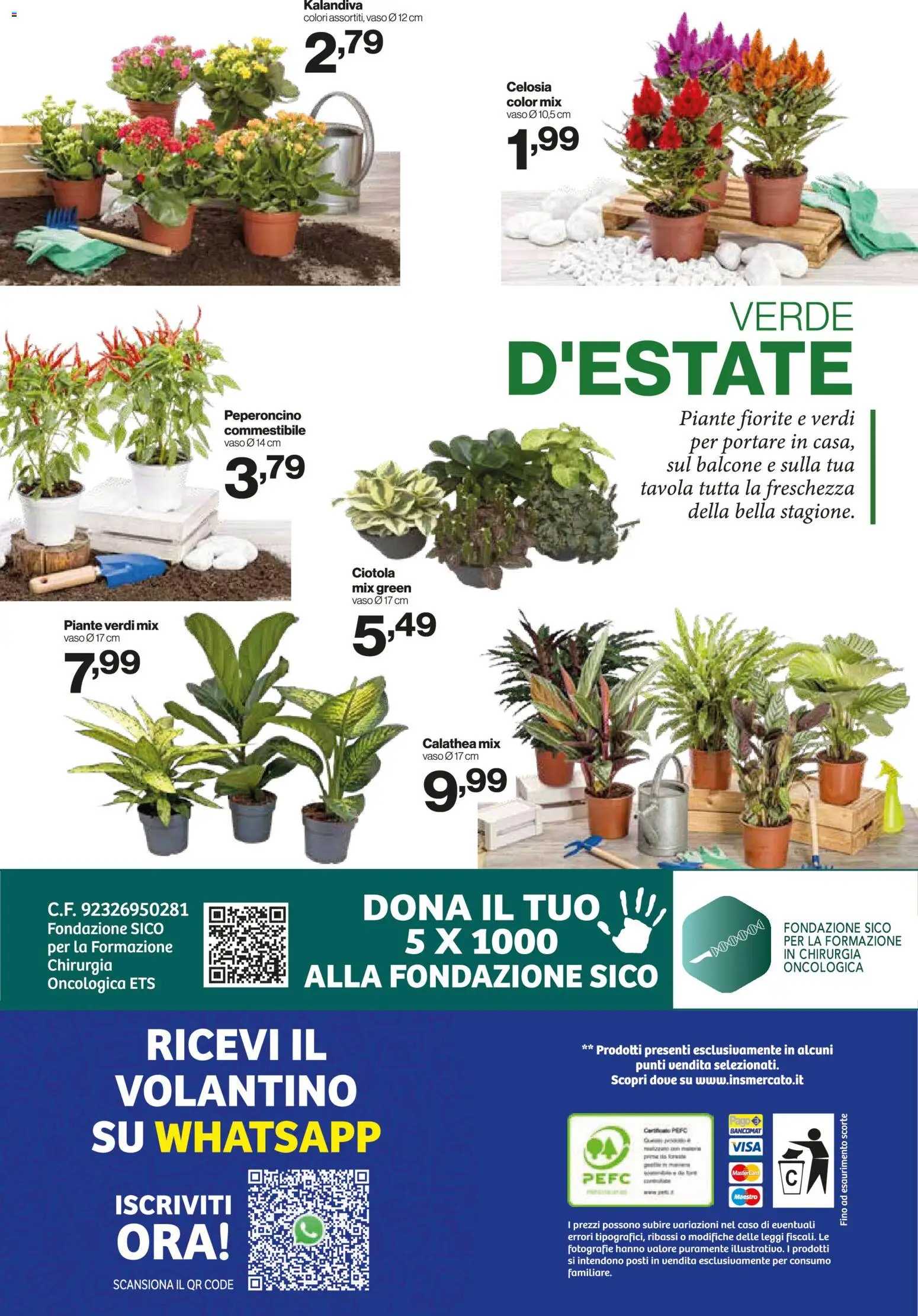 Volantino IN's del 01/07/2026 | Pagina: 24 | Prodotti: Peperoncino, Ciotola, Vaso