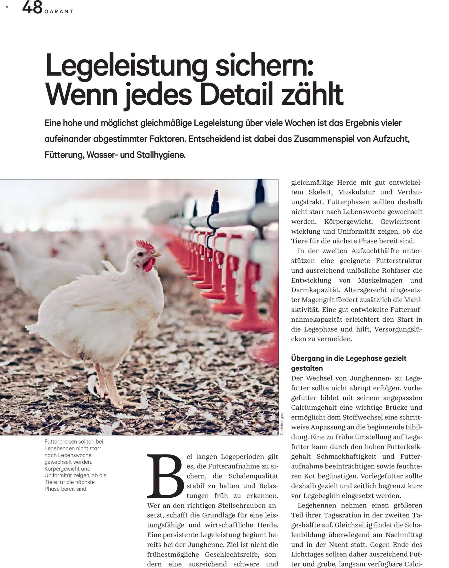Lagerhaus Unser Land Novomber 26 gültig ab 01.11.2026 | Seite: 48