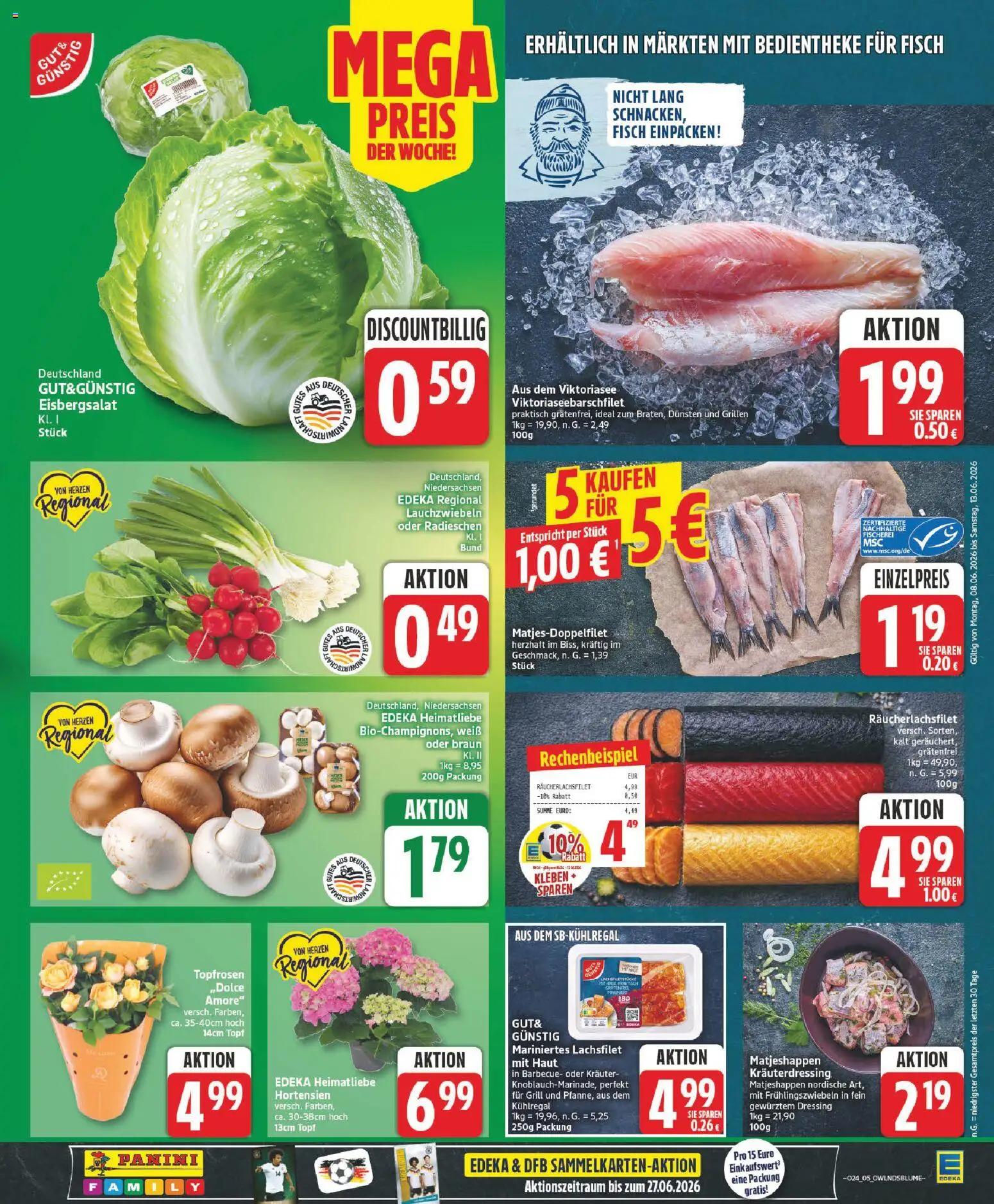 Elli Markt Prospekt Rietberg – gültig ab 08.06.2026 | Seite: 5 | Produkte: Grill, Dressing, Eisbergsalat, Fisch
