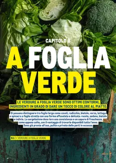 Anteprima del volantino VERDURE A FOGLIA VERDE, LE VERDURE A FOGLIA VERDE SONO OTTIMI CONTORNI, INGREDIENTI IN GRADO DI DARE UN TOCCO DI COLORE AL PIATTO. valido a partire dal 30.06.2025 | Pagina: 68 | Prodotti: Verdure, Spinaci, Lattuga