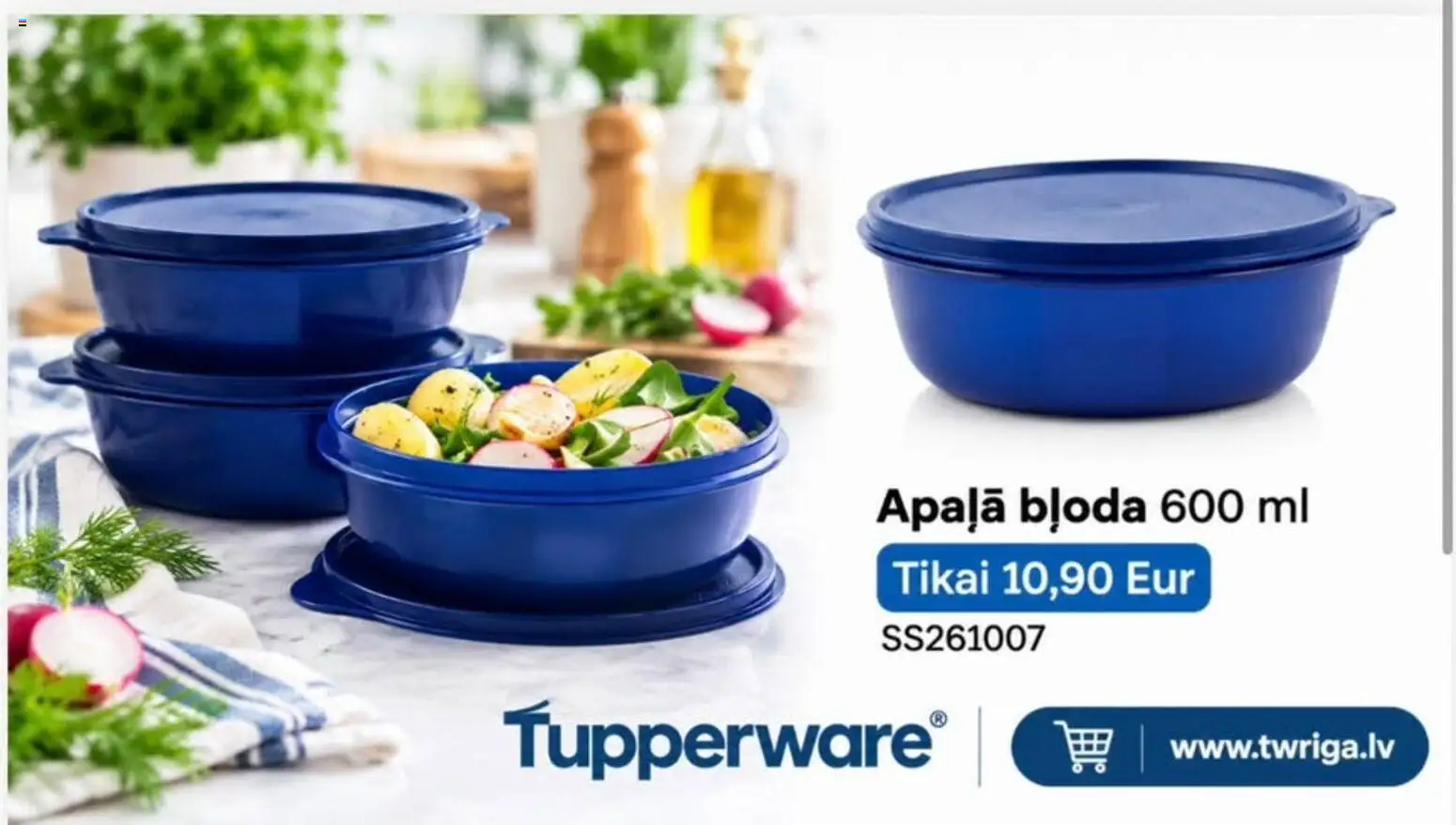  | Lappuse: 12