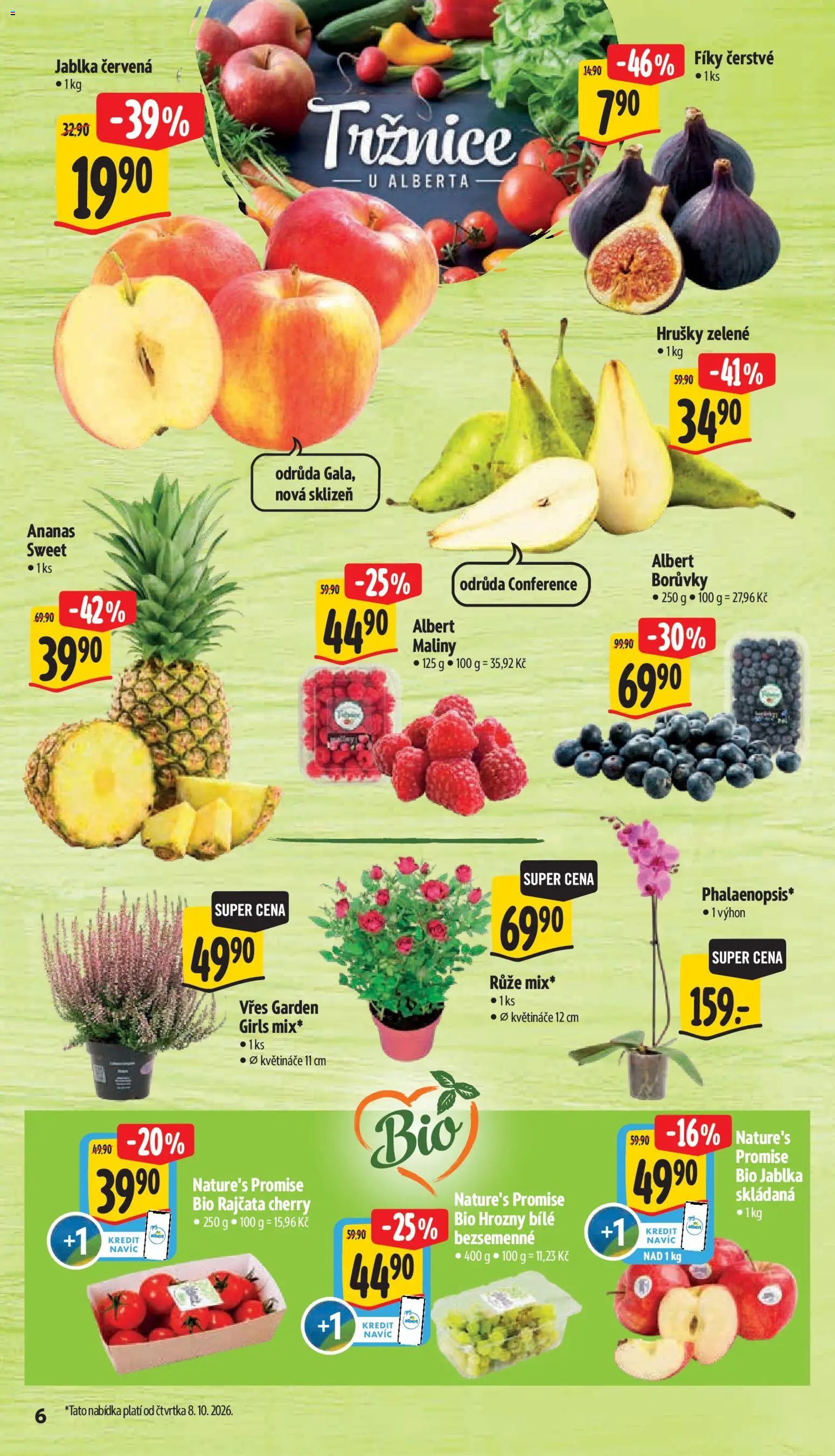 Albert leták - Supermarket Frenštát pod Radhoštěm od 07.10.2026 | Strana: 16 | Produkty: Květináče, Jablka, Ananas, Borůvky