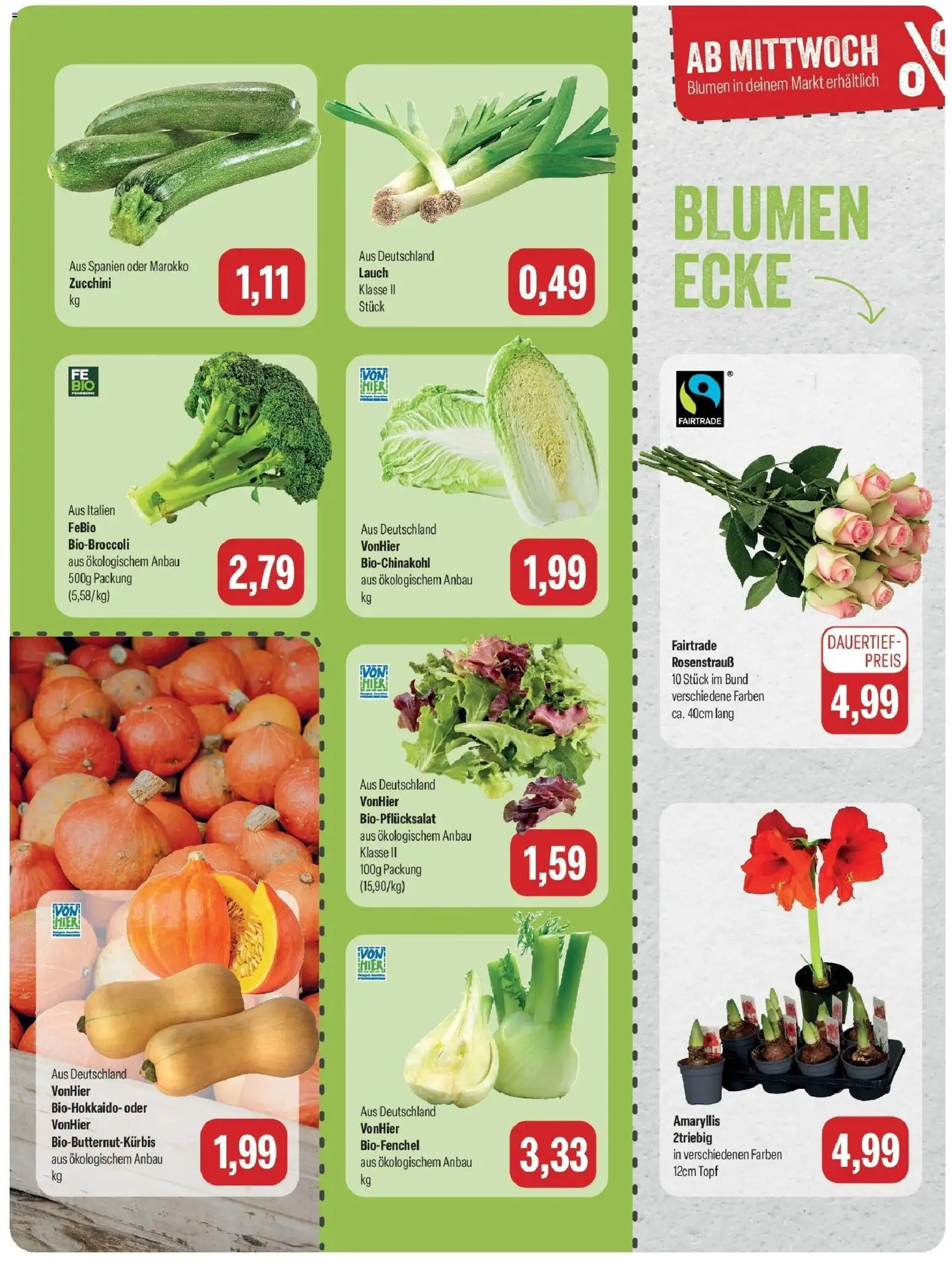 Feneberg Aktuelle Angebote (ab 25.10.2026) zum Blättern | Seite: 11 | Produkte: Blumen, Zucchini, Lauch