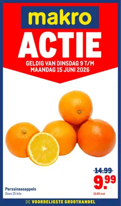 Makro folder - Versdeals - Voorbeeld van een folder van Makro, geldig van 09.06.2026