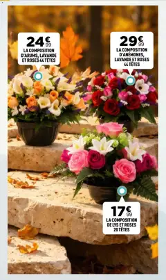 Centrakor - Prévisualisation de Centrakor catalogue valide à partir de 19/10/2026 | Page: 28 | Produits: Lavande