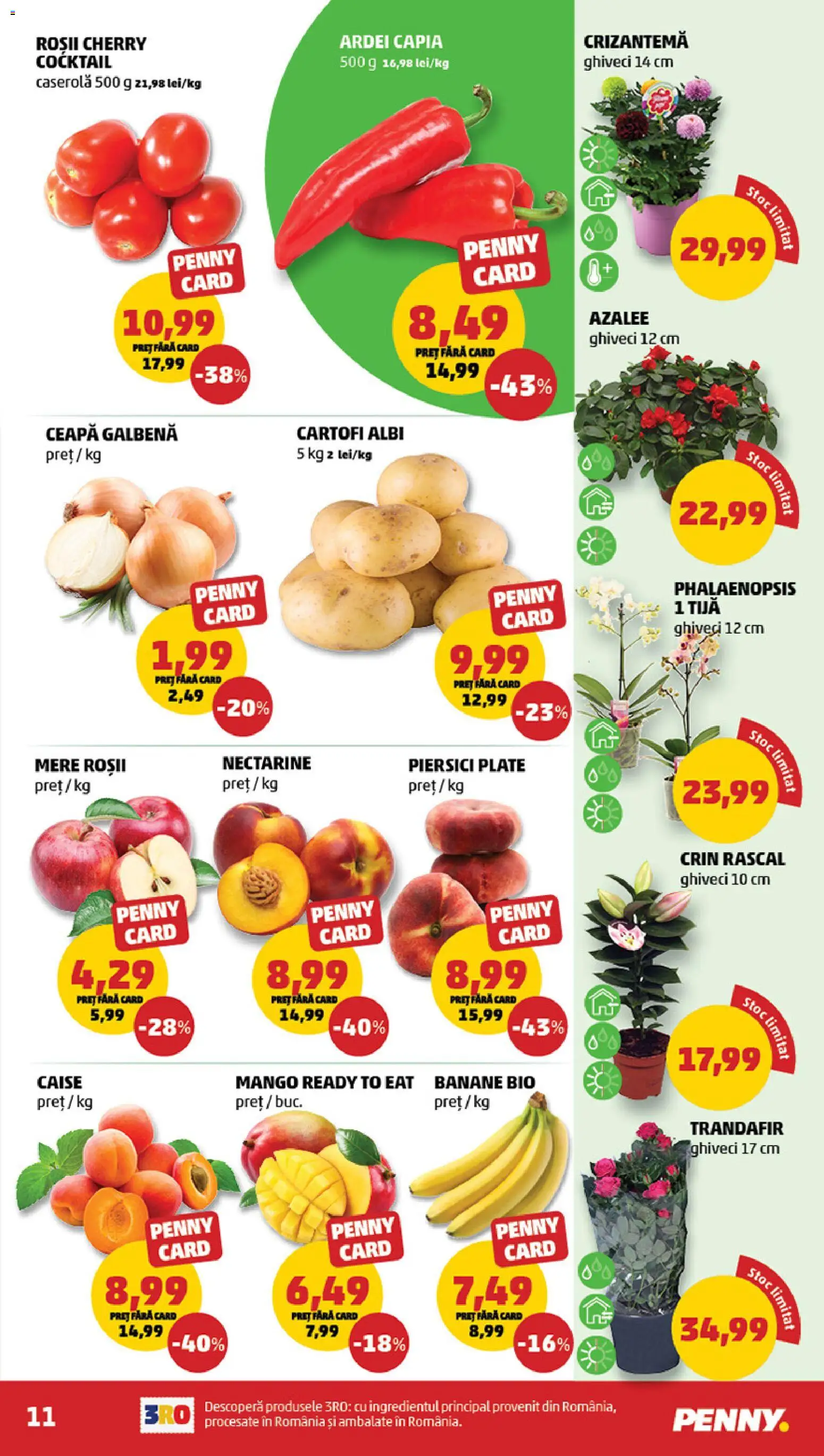 Noul catalog PENNY – valabil de la 10.06.2026 | Pagină: 11 | Produse: Şerit ödül, Trandafir, Roșii, Ahtapot