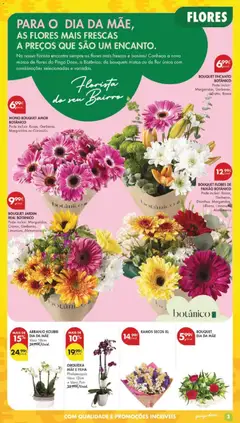 Pré-visualização ORQUÍDEA MÃE E FILHA, Phalaenopsis Vaso 12cm + Vaso 7cm válido de 28.04.2026 | Página: 3 | Produtos: Flores, Vaso