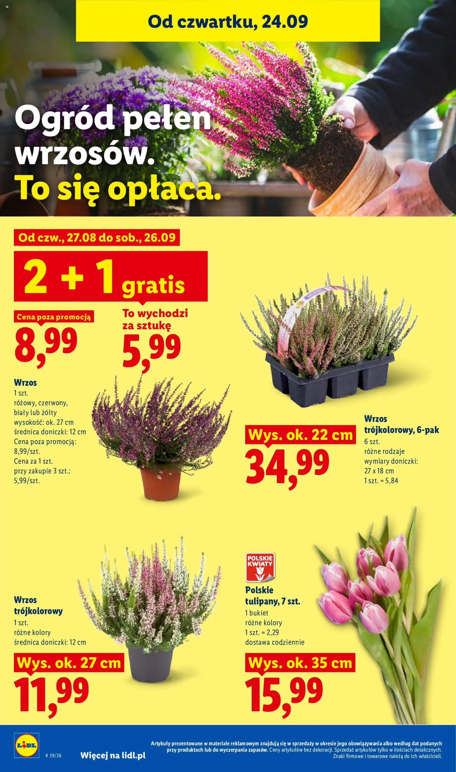 Lidl Polsko leták od 24.09.2026 | Strana: 100