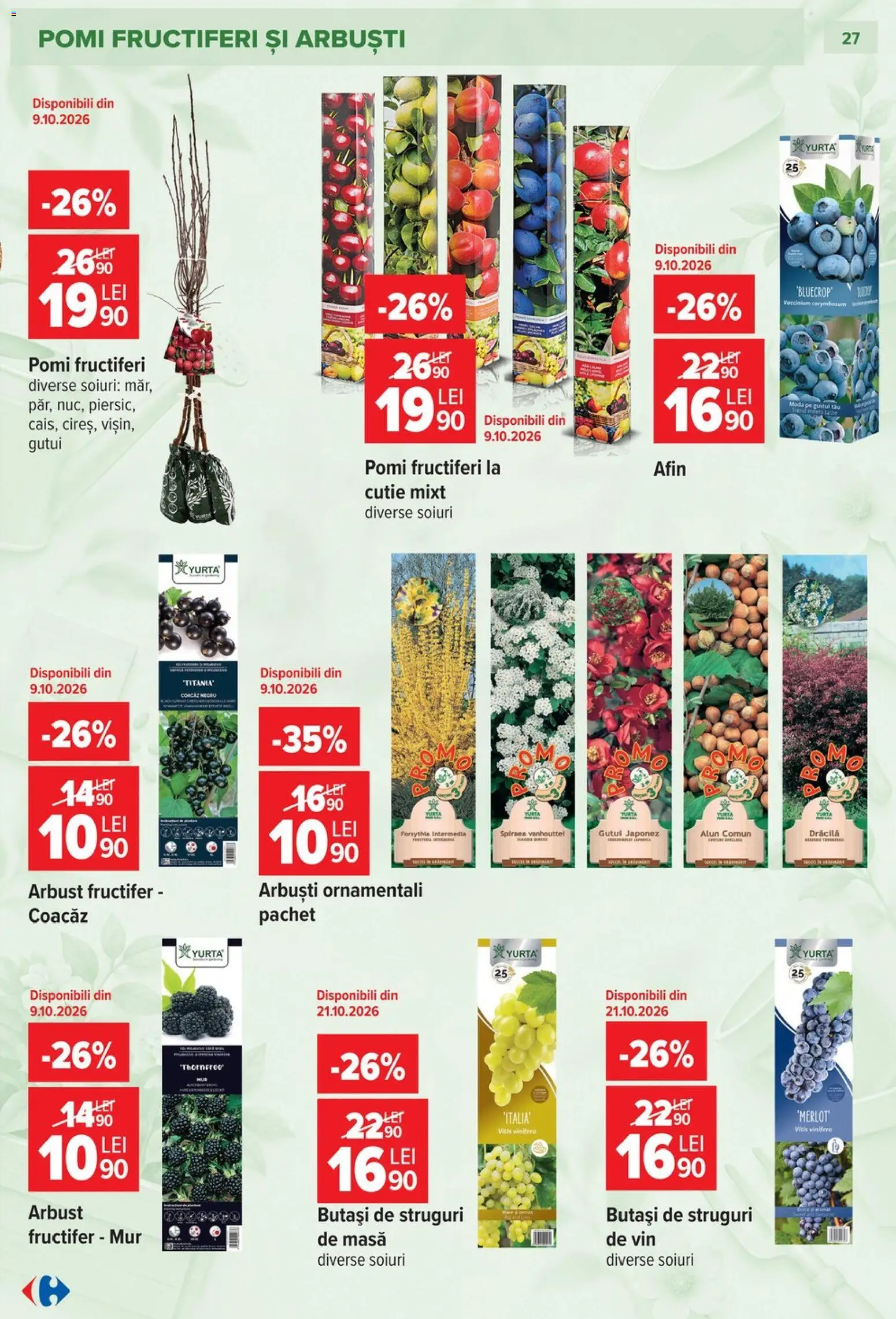 Noul catalog Carrefour – valabil de la 23.09.2026 | Pagină: 27 | Produse: Struguri, Masă, Cutie, Vin