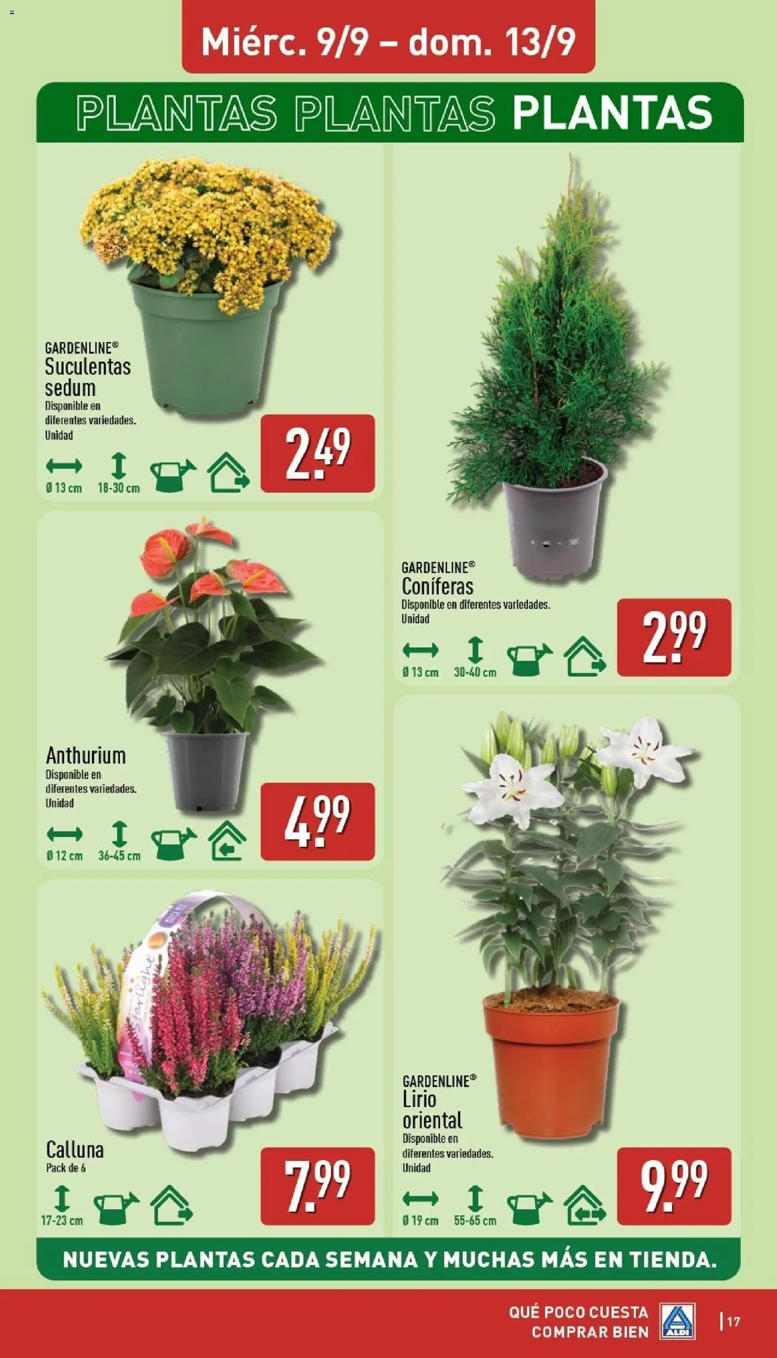 Aldi folleto Península │ válido desde el 07/09/2026 | Página: 17