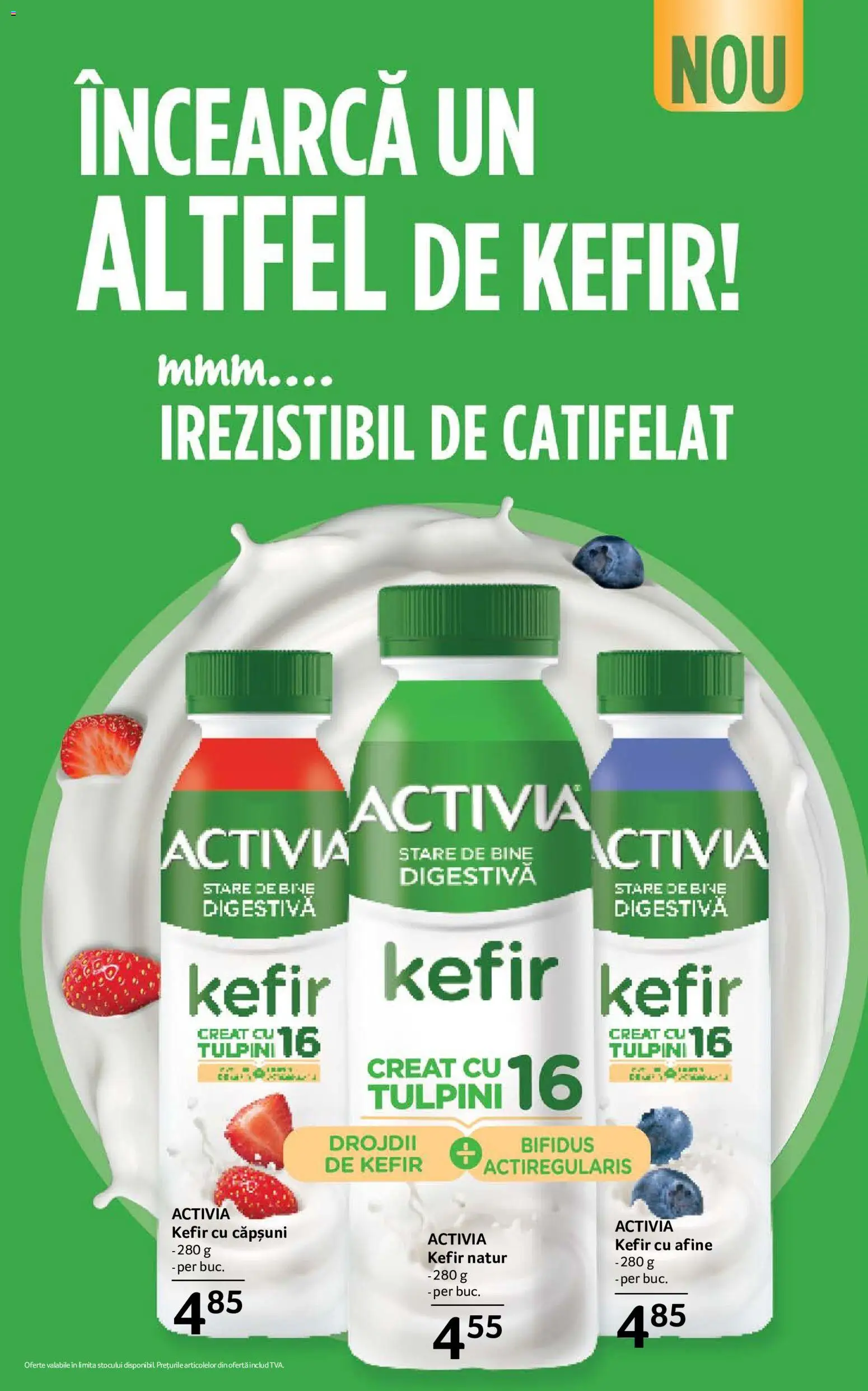 Noul catalog Selgros – valabil de la 26.06.2026 | Pagină: 9 | Produse: Afine, Kefir, Căpșuni
