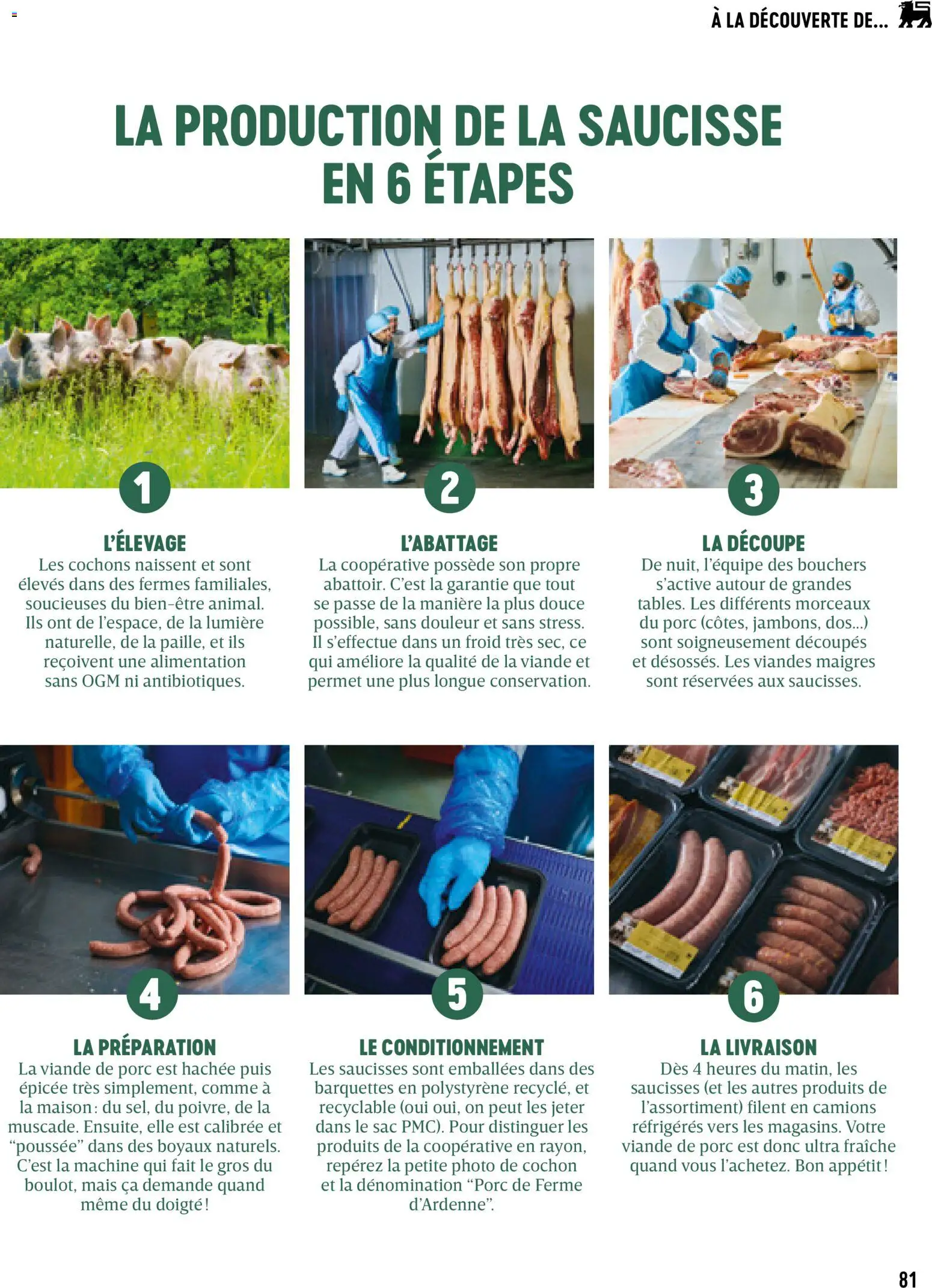 {H1} | Pagina: 81 | Producten: Maïs, La