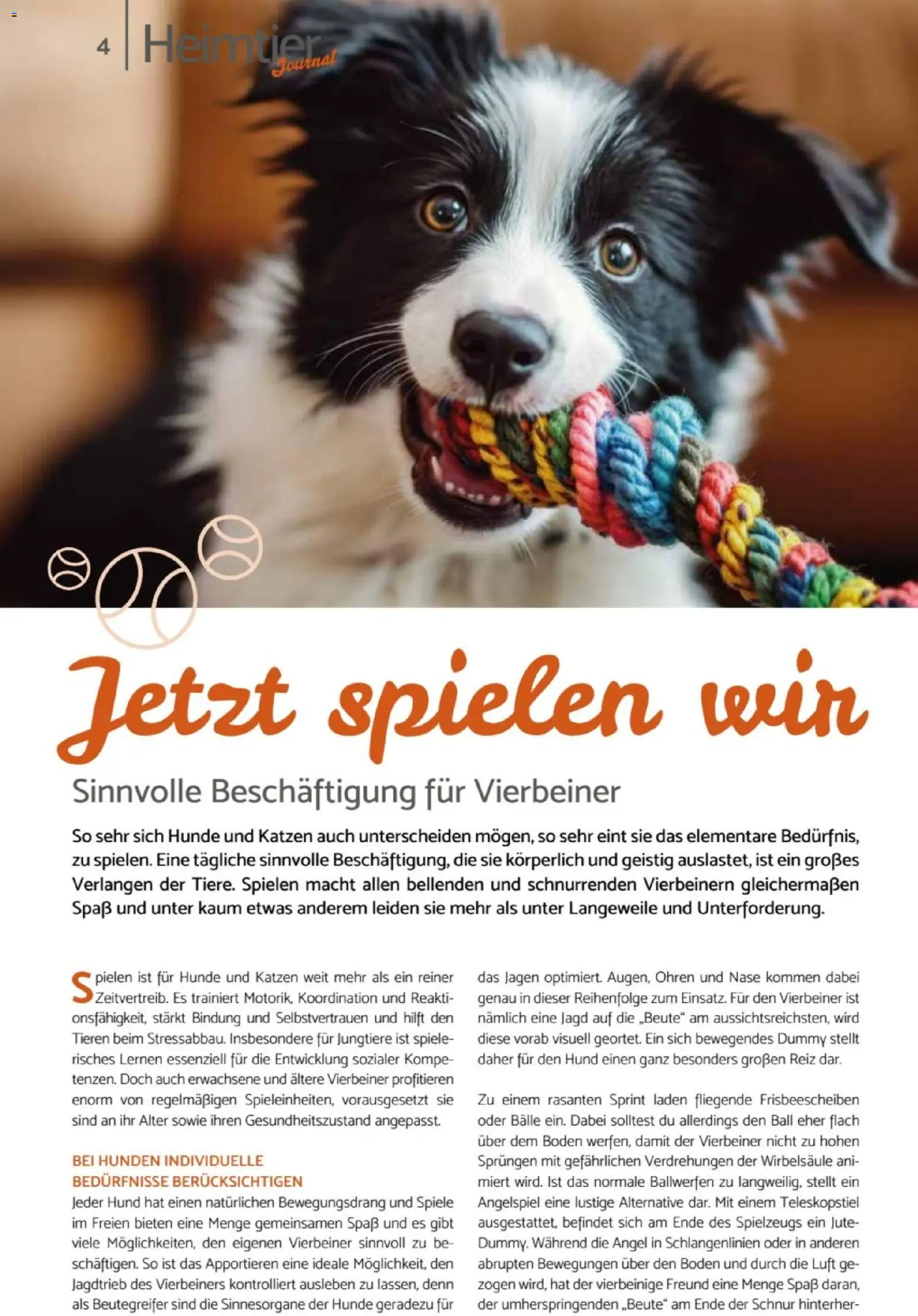 zookauf Heimtier Journal – gültig ab 01.06.2026 | Seite: 4