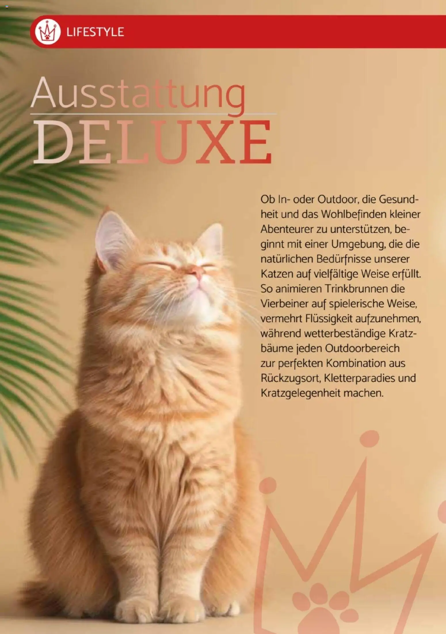 zookauf Heimtier Journal Special – gültig ab 01.06.2026 | Seite: 4