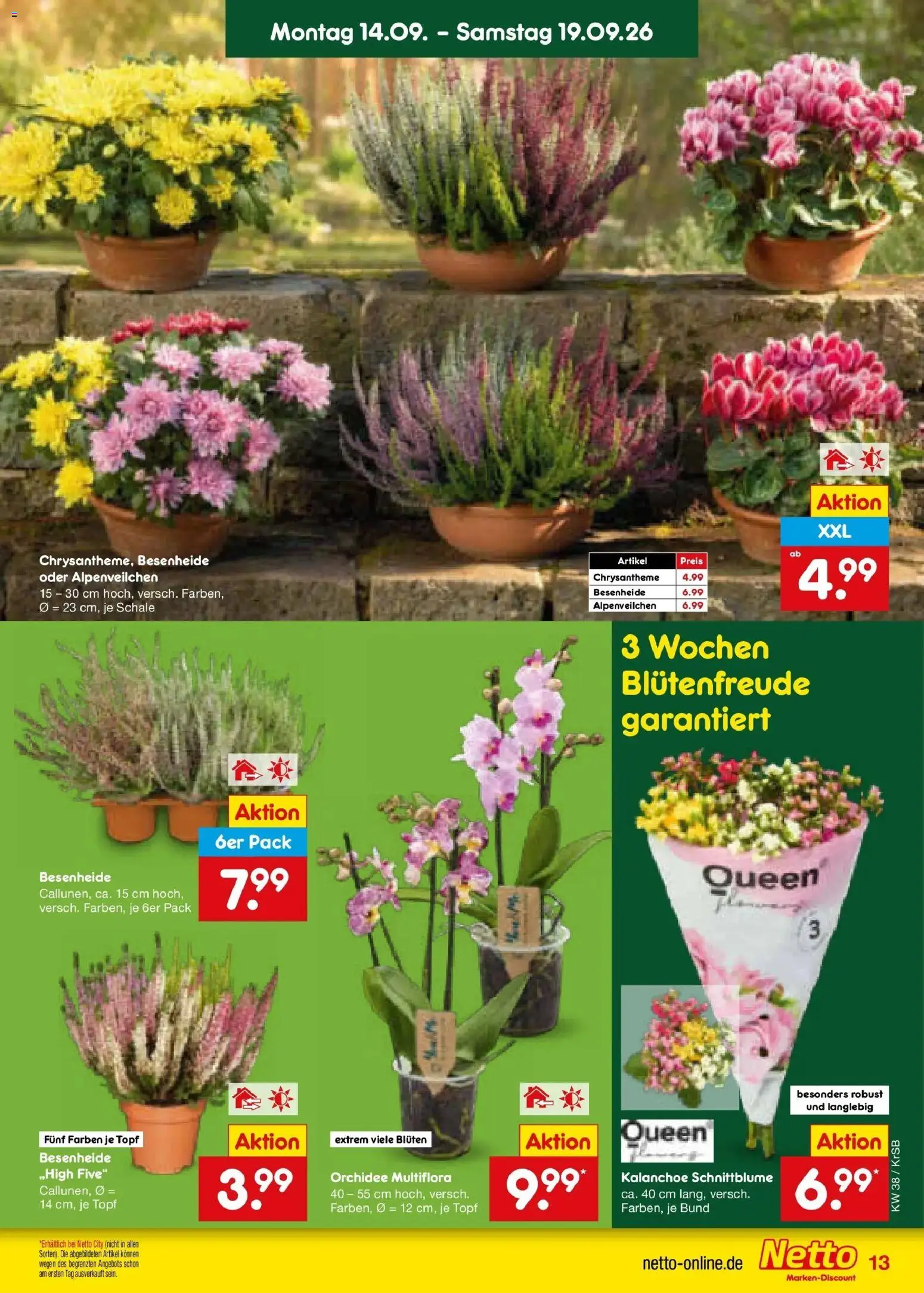 Netto Marken-Discount Prospekt Baesweiler – gültig ab 14.09.2026 | Seite: 19 | Produkte: Orchidee