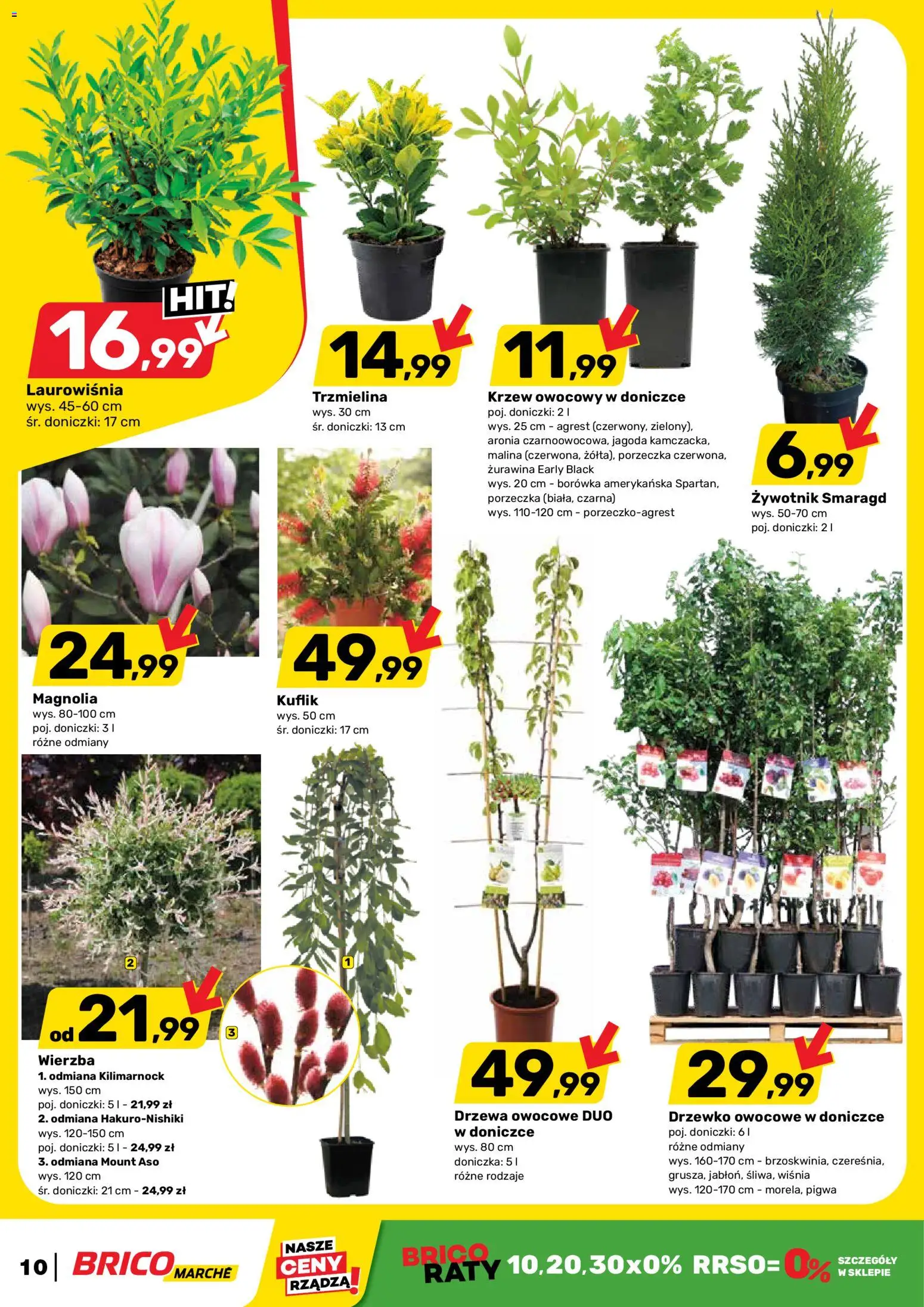 Brico Marché gazetka od 08.04.2026 | Strona: 10 | Produkty: Malina, Borówka amerykańska, Drzewa owocowe, Doniczka