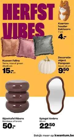 Kwantum folder / publicité - Voorbeeld van een folder van Kwantum, geldig van 31/08/2026 | Pagina: 9 | Producten: Kussen, Spiegel, Decoratie, Pompoen