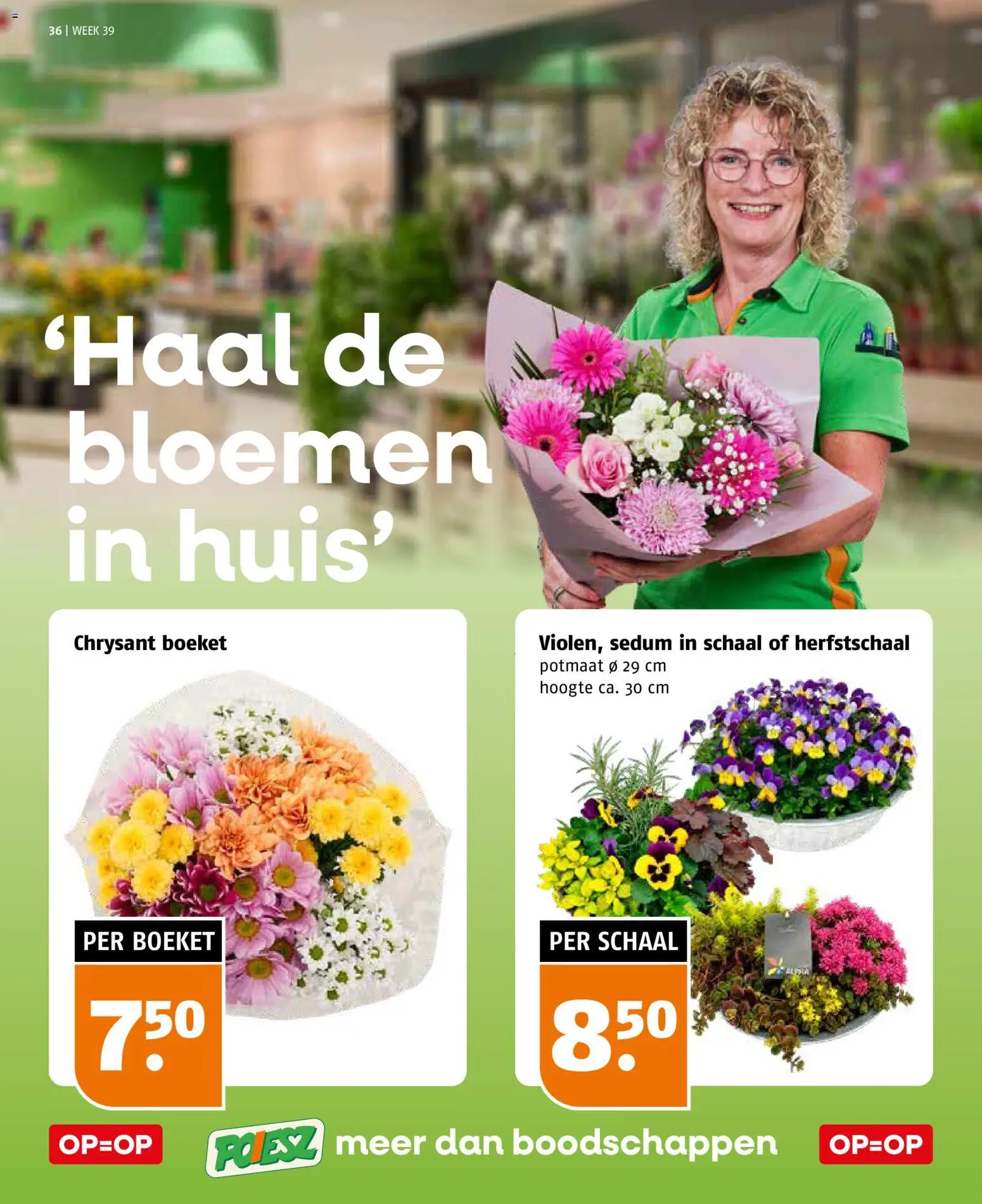 {H1} | Pagina: 36 | Producten: Schaal, Bloemen