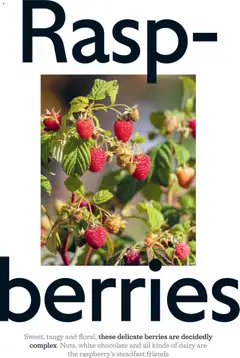 Preview of Waitrose Offers valid from 03.06.2026 | Page: 54