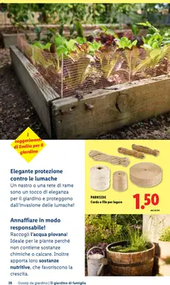 Anteprima del volantino Lidl volantino Giardinaggio valido a partire dal 23.04.2026 | Pagina: 38