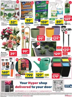 Pick n Pay specials catalogue – valid from 11/08/2026 | Page: 2 | Products: Garden hose, Tea, Pipe, Dressing