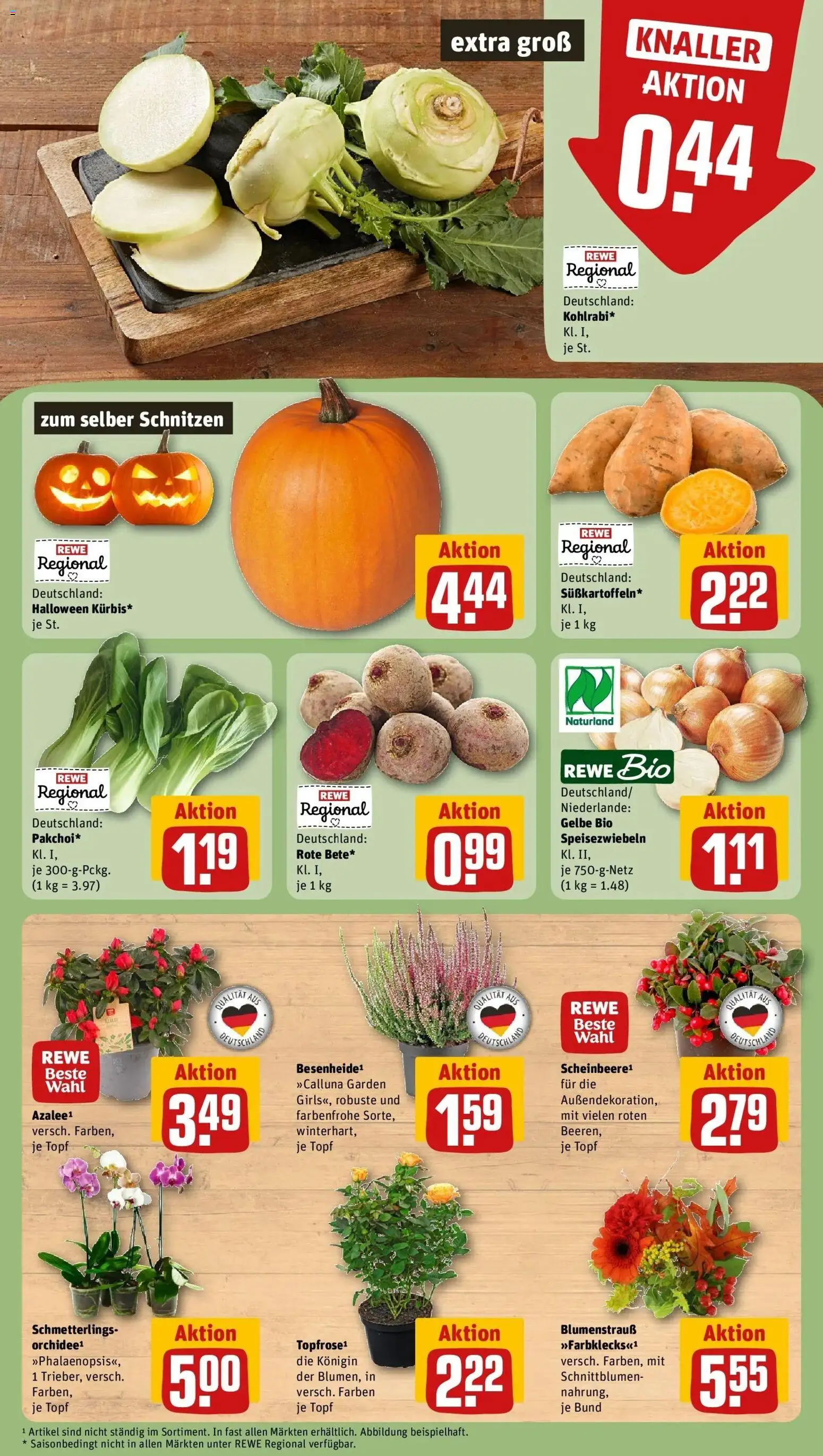 REWE Prospekt ab 12.10.2026 zum Blättern » Angebote | Seite: 5