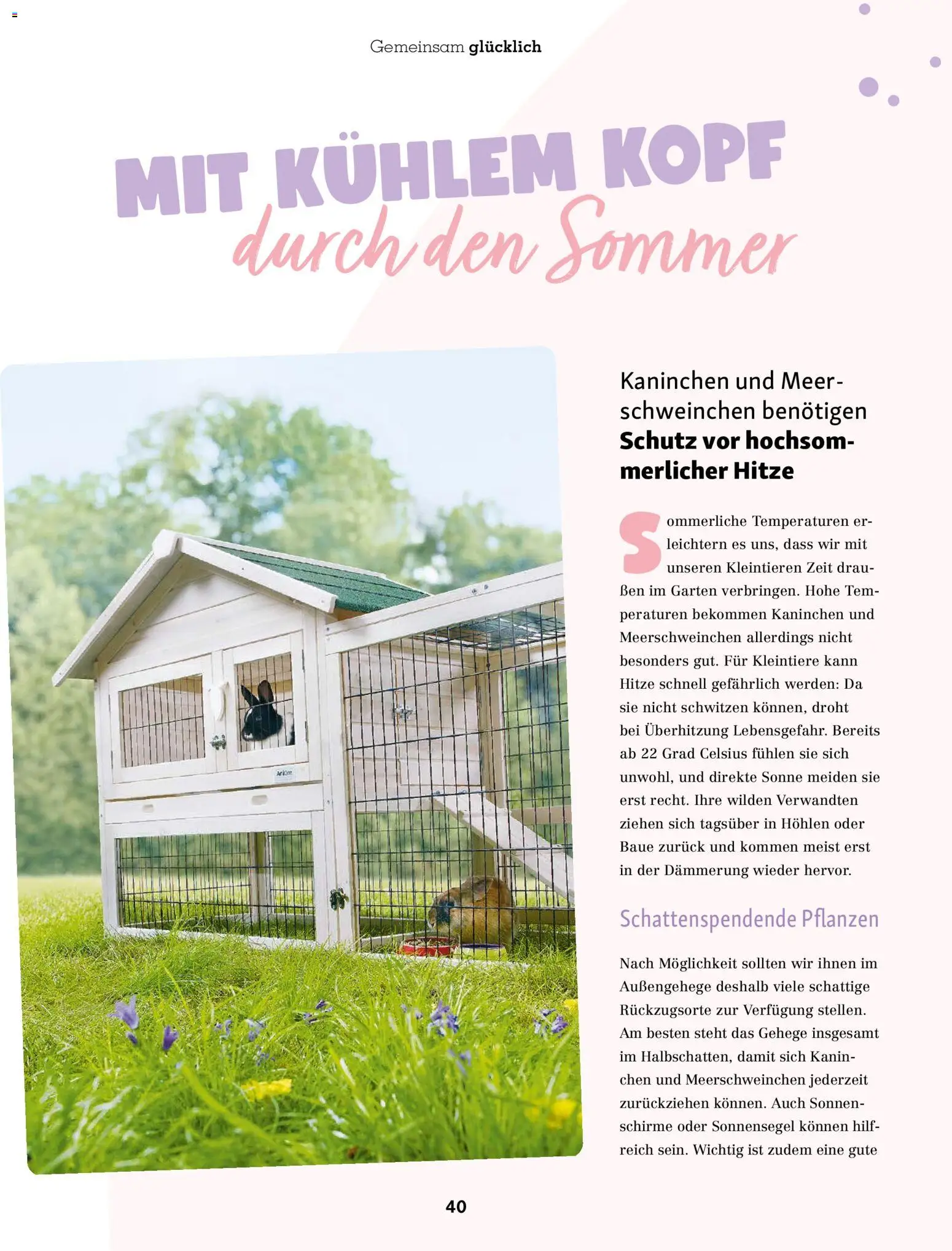 Fressnapf Friends Magazin – gültig ab 01.07.2026 | Seite: 40 | Produkte: Kaninchen