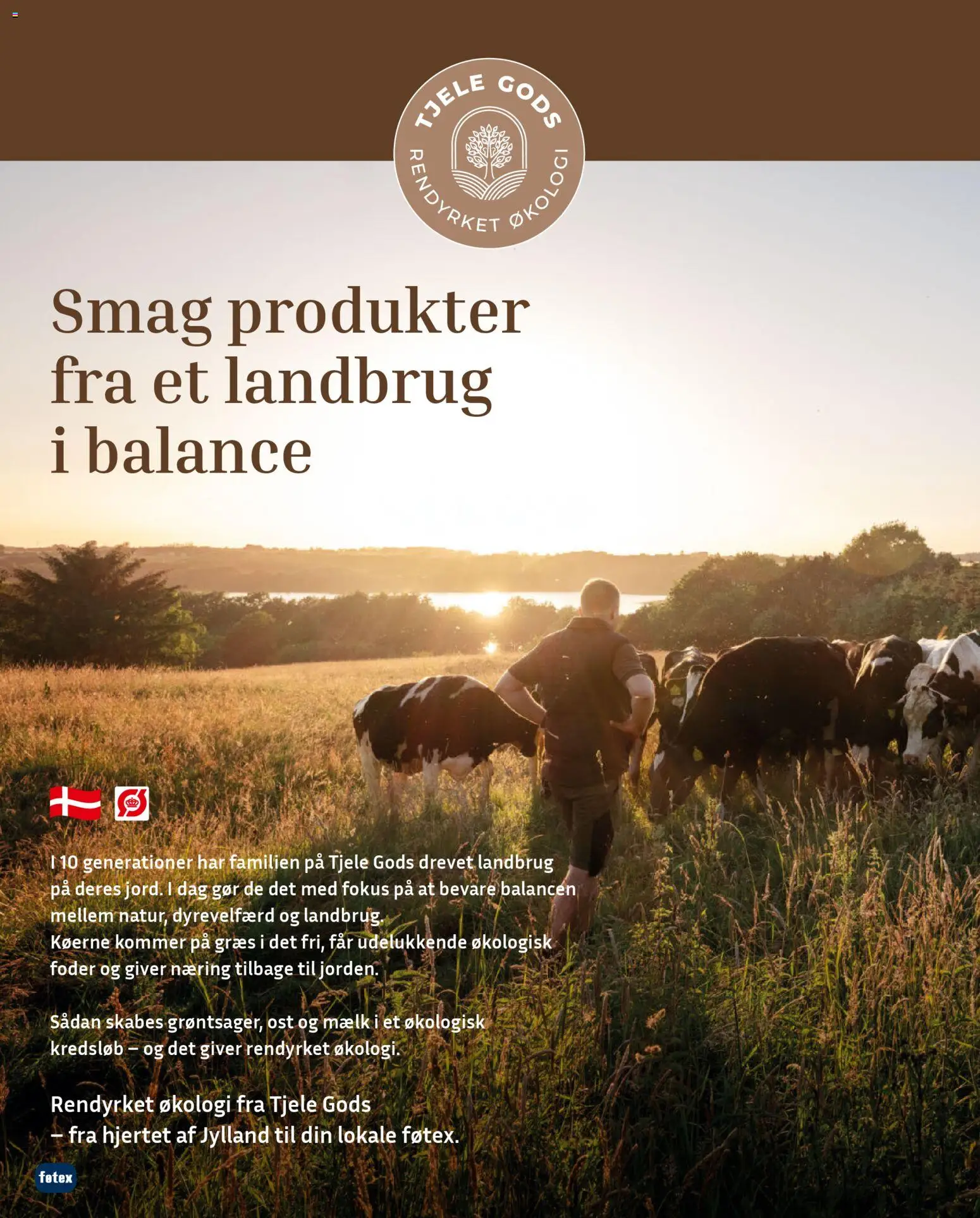 Føtex tilbudsavis – gyldig fra 07/04/2026 | Side: 12 | Produkter: Mælk, Ost
