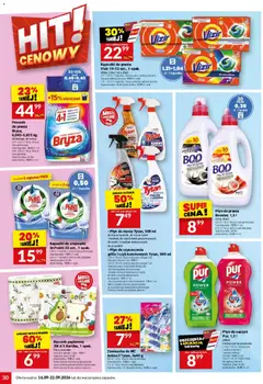 Pogląd oferty "Twój Market gazetka" - ważna od 16.09.2026 | Strona: 30 | Produkty: Porzeczka, Toaleta, Fairy, Proszek do prania