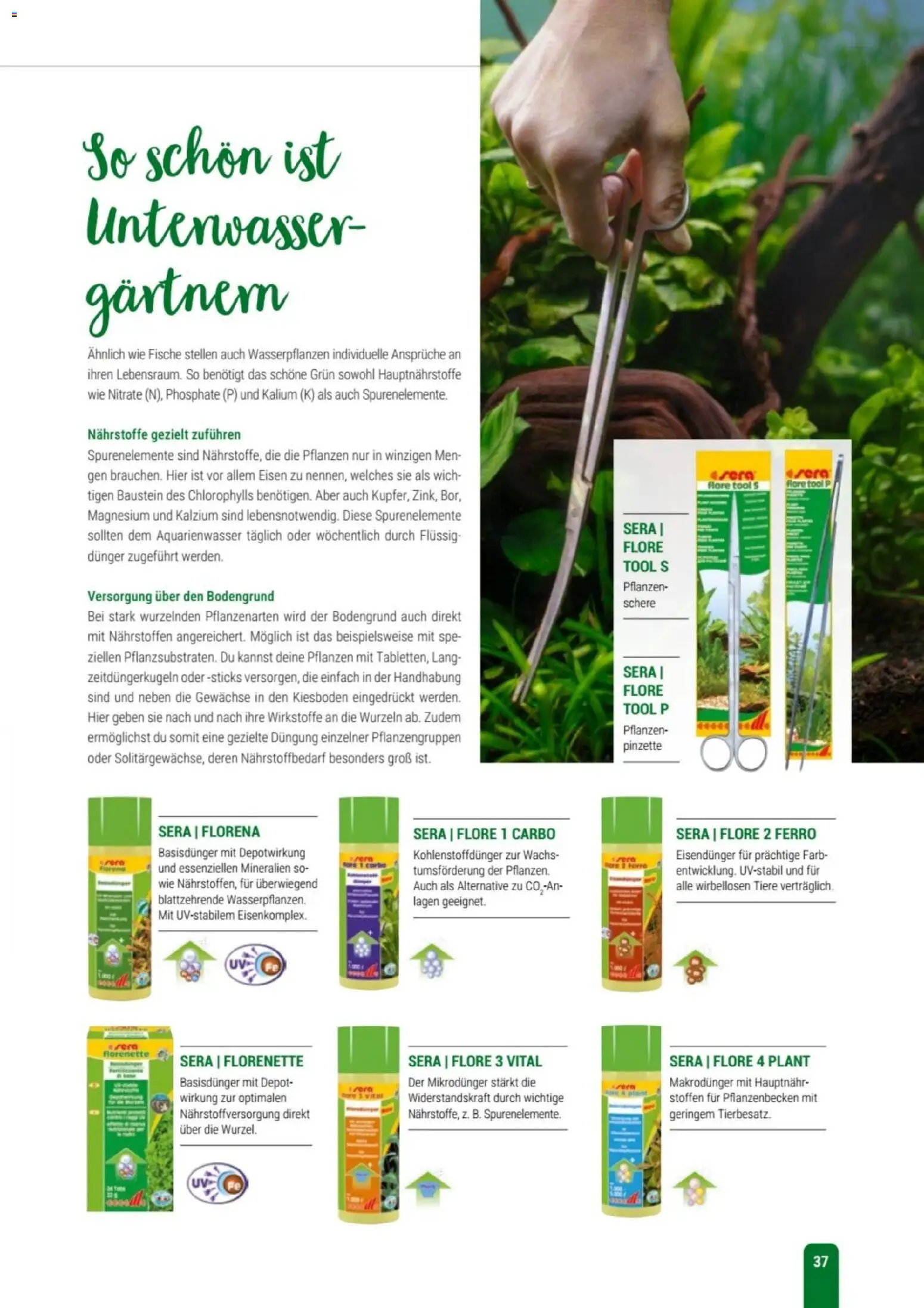 zookauf Themenkatalog Aqua – gültig ab 01.10.2026 | Seite: 37 | Produkte: Pinzette