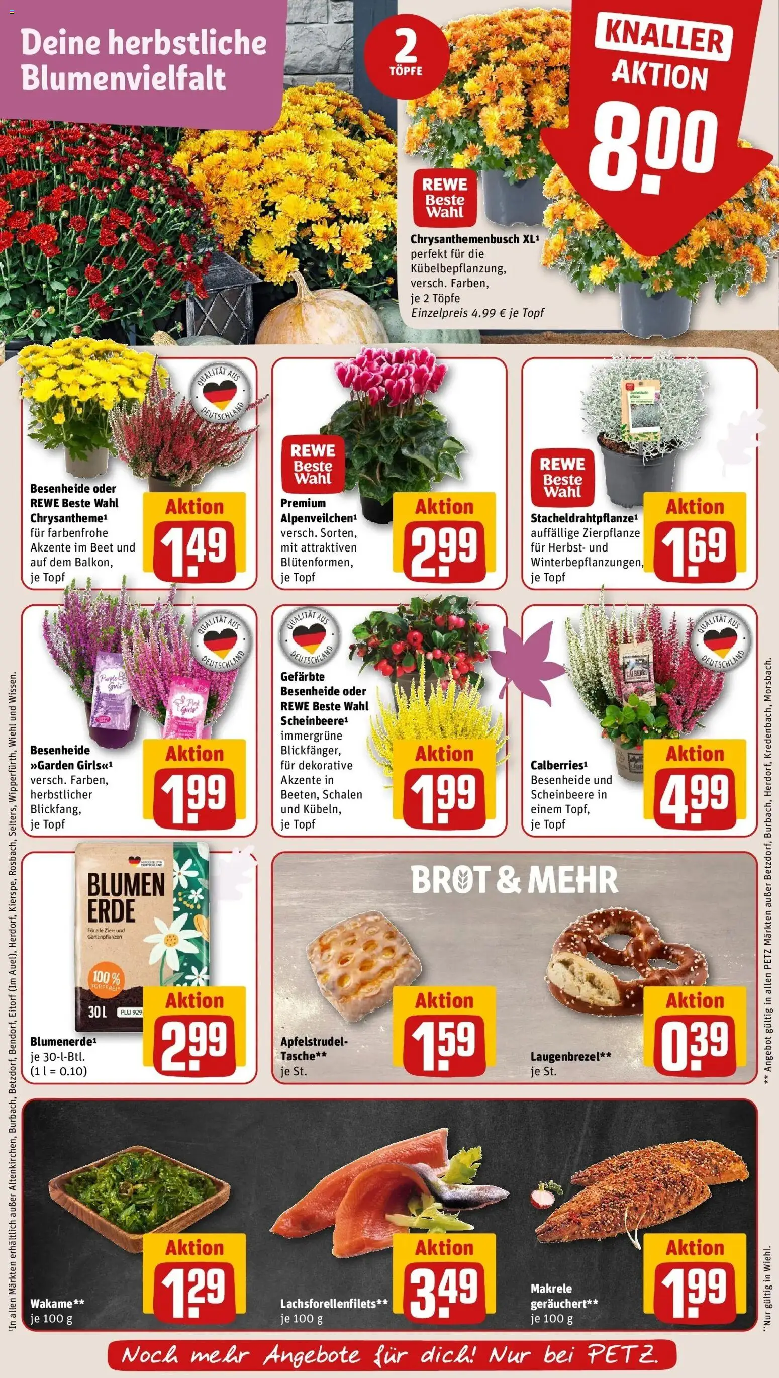 REWE Prospekt ab 14.09.2026 zum Blättern » Angebote | Seite: 7 | Produkte: Tasche, Blumen, Brot, Makrele