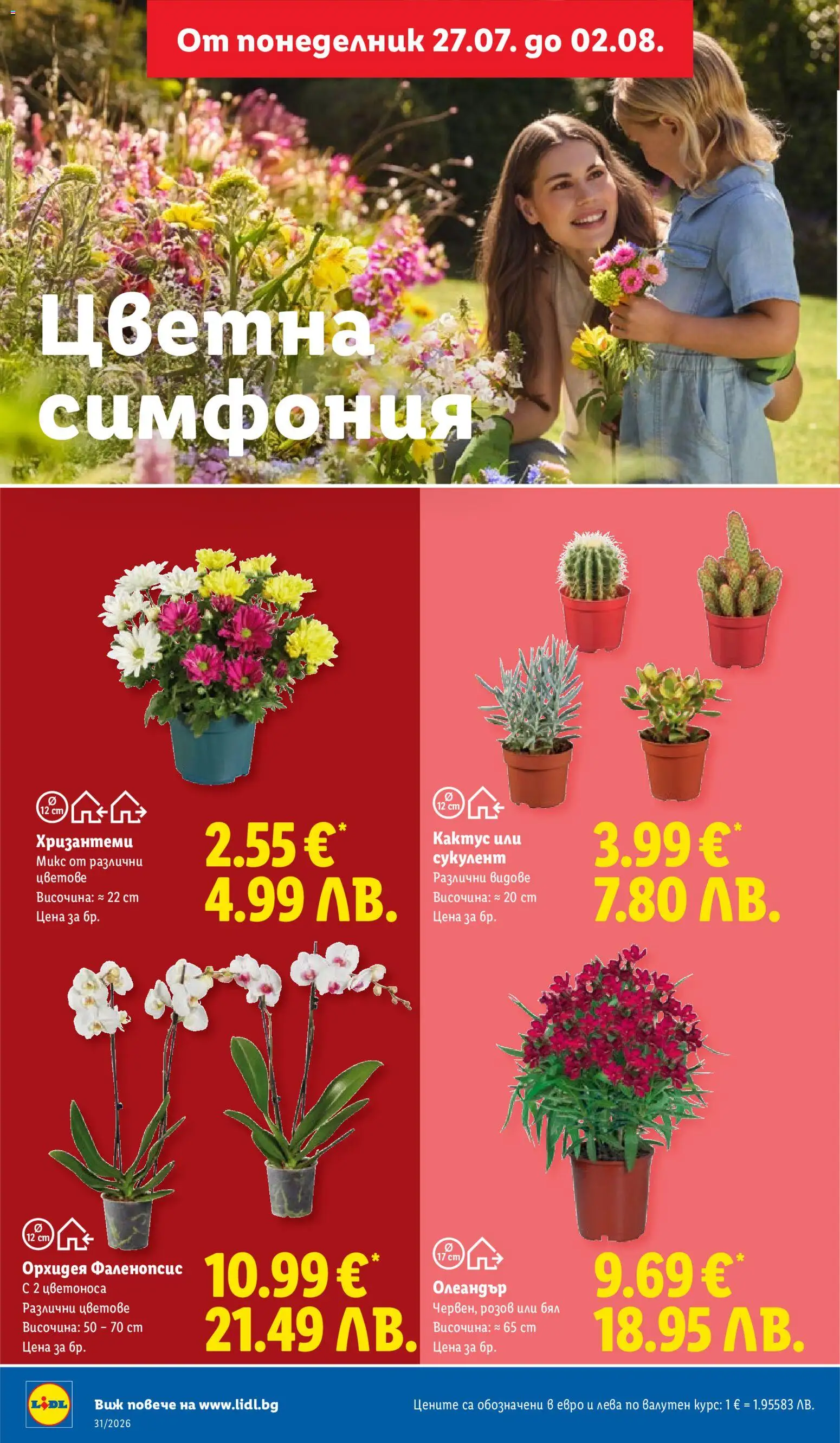 {H1} | Страница: 46 | Продукти: Орхидея