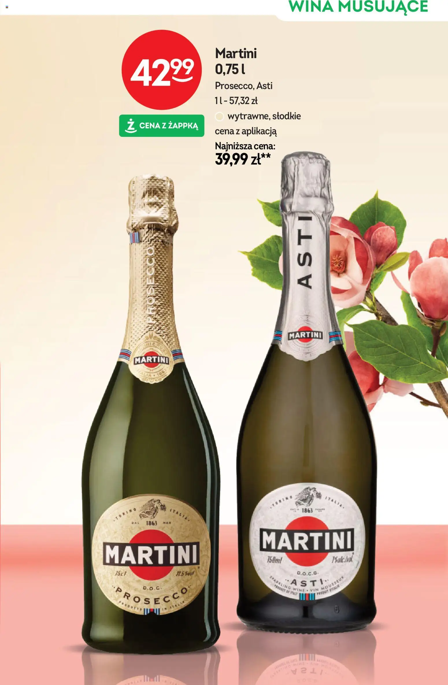 Żabka gazetka - Katalog win od 10.06.2026 | Strona: 21 | Produkty: Martini, Prosecco