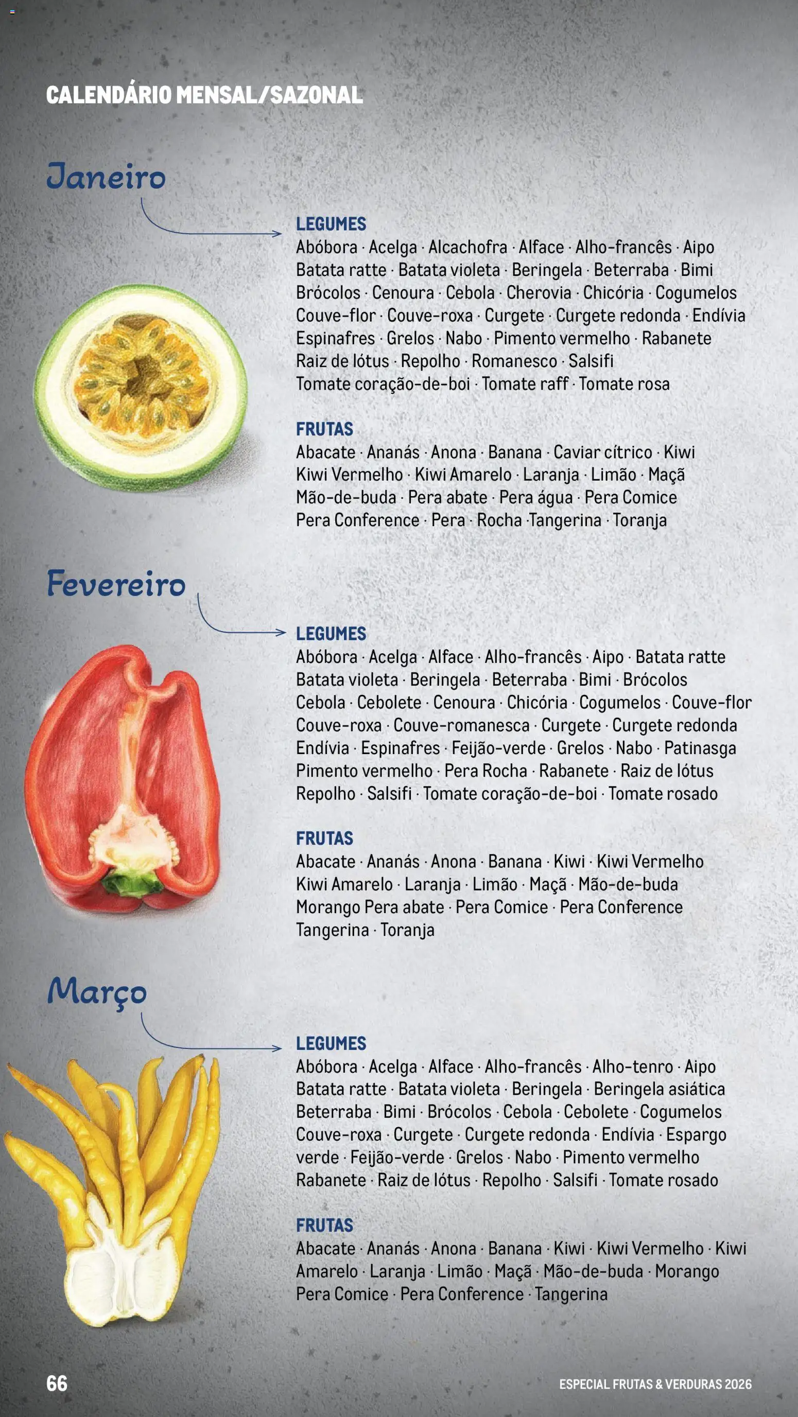 Makro Especial Frutas e Verduras 2026 │ válido de 06.03.2026 | Página: 66 | Produtos: Batata, Curgete, Abóbora, Cenoura