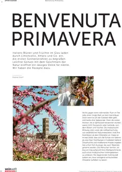 Interspar Meine Weinwelt Frühling 2026 ab 05.03.2026 gültig | Seite: 52 | Produkte: Vihreä pesto, Tee