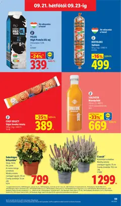PILOS High Protein ESL tej, Zsírtartalom: 0,3%, 1l - amely érvényes a következő dátumtól: 2026.09.17. | Oldal: 59
