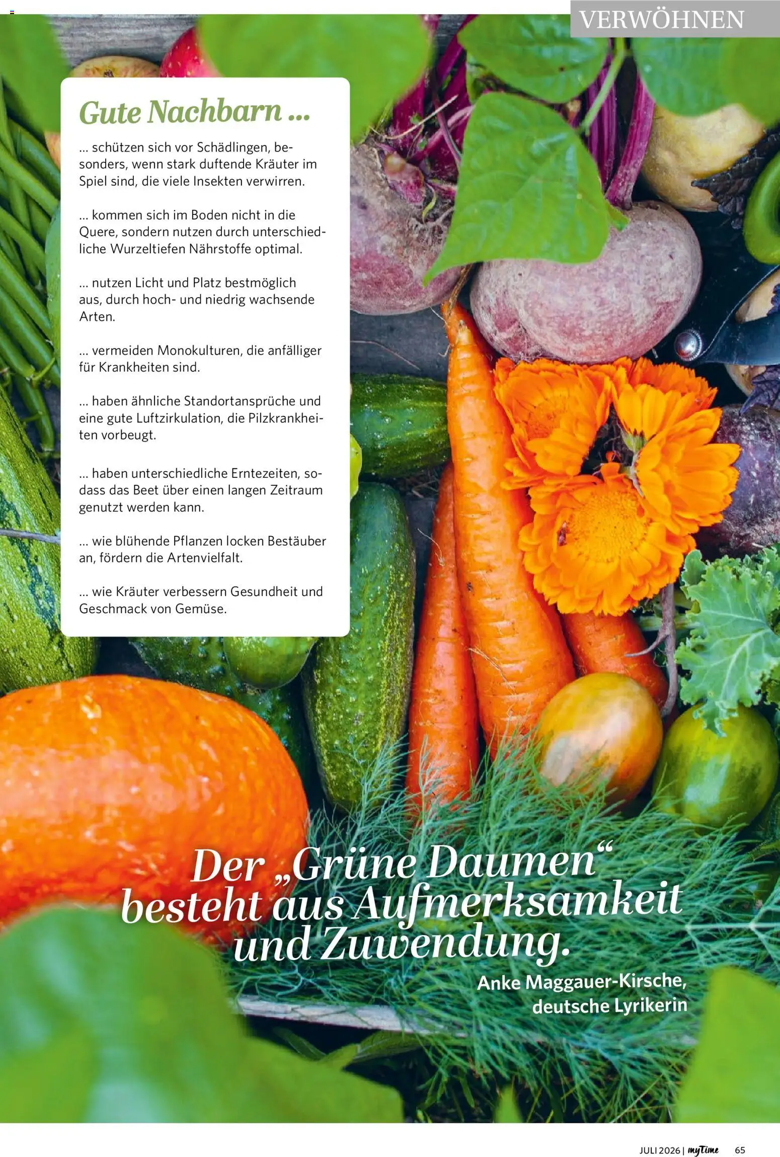 Combi myTime Juli 2026 – gültig ab 01.07.2026 | Seite: 65