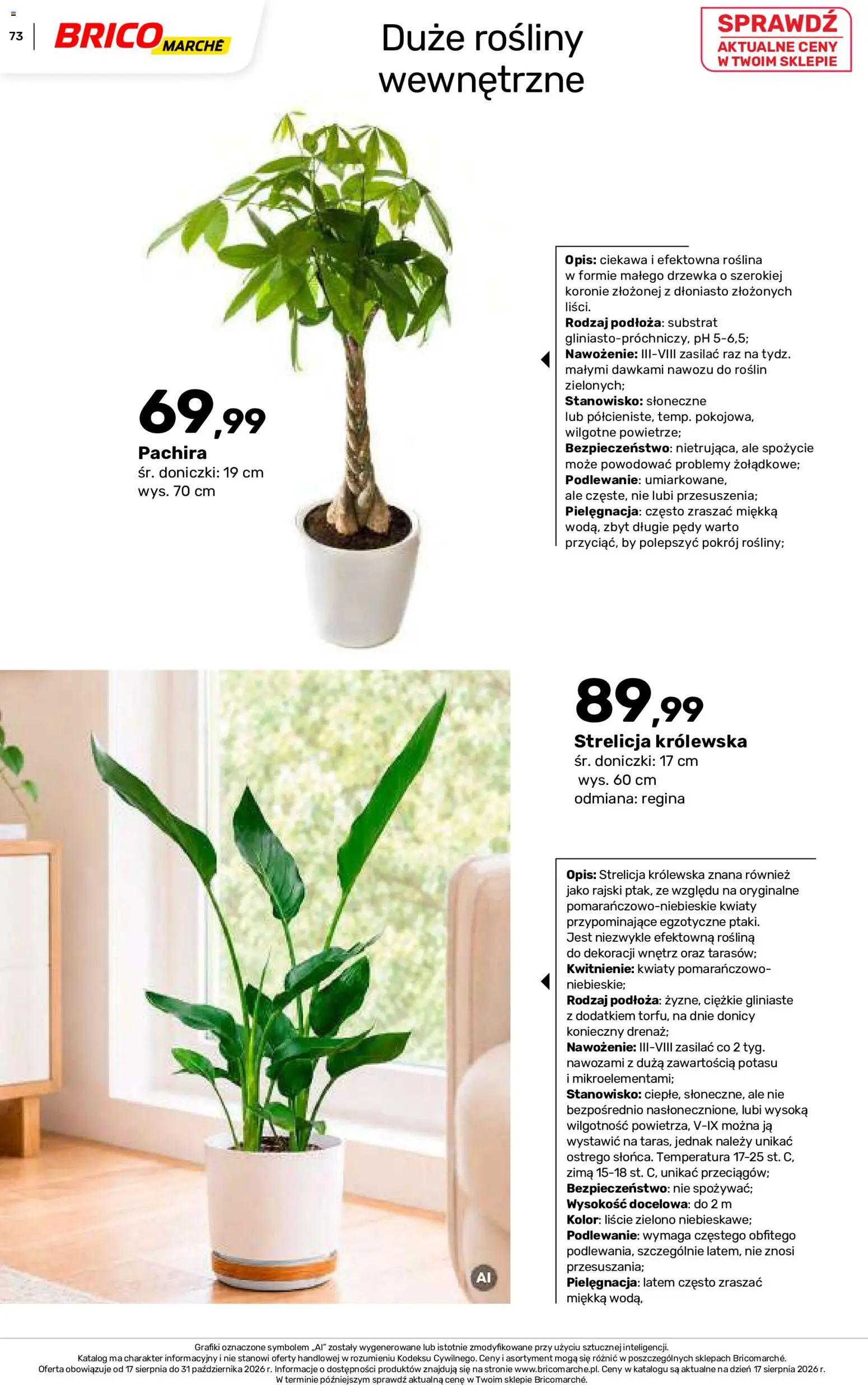 Brico Marché gazetka - Jesienne Inspiracje od 17.08.2026 | Strona: 73 | Produkty: Rosliny, Doniczki, Kwiaty